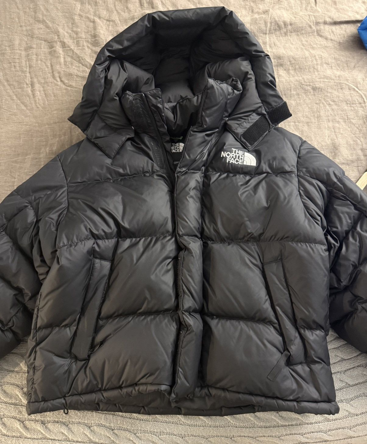 The North Face North Face detachable hood Puffer Size US L / EU 52-54 / 3 - 1 Thumbnail