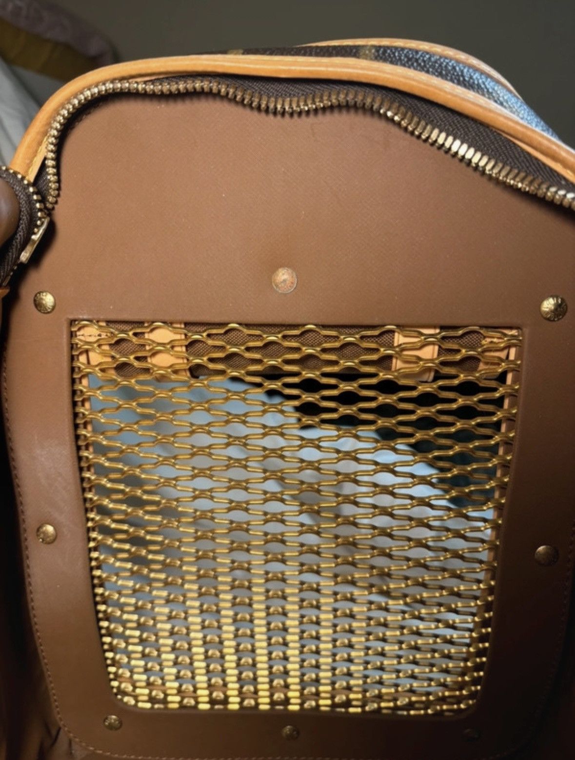 Louis Vuitton LOUIS VUITTON Sac Chien 40 monogram dog carrier shoulder bag Size ONE SIZE - 11 Thumbnail