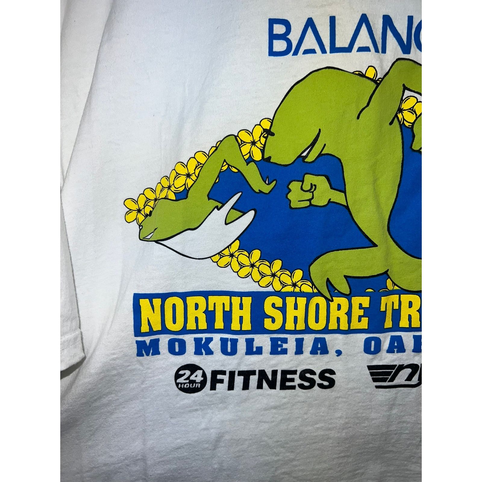Jerzees Vintage North Shore Triathlon Shirt 1999 Balance Hawaii XL Size US XL / EU 56 / 4 - 6 Thumbnail