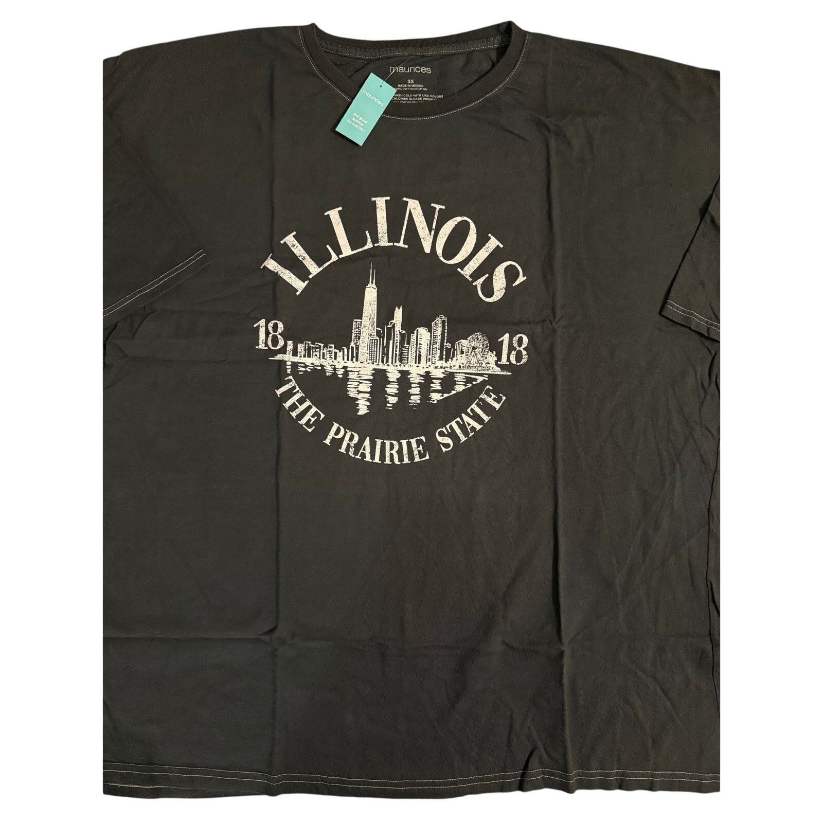 Old Navy NWT Old Navy Illinois T-Shirt Women’s 3XL Size 3XL / US 20-22 - 1 Thumbnail