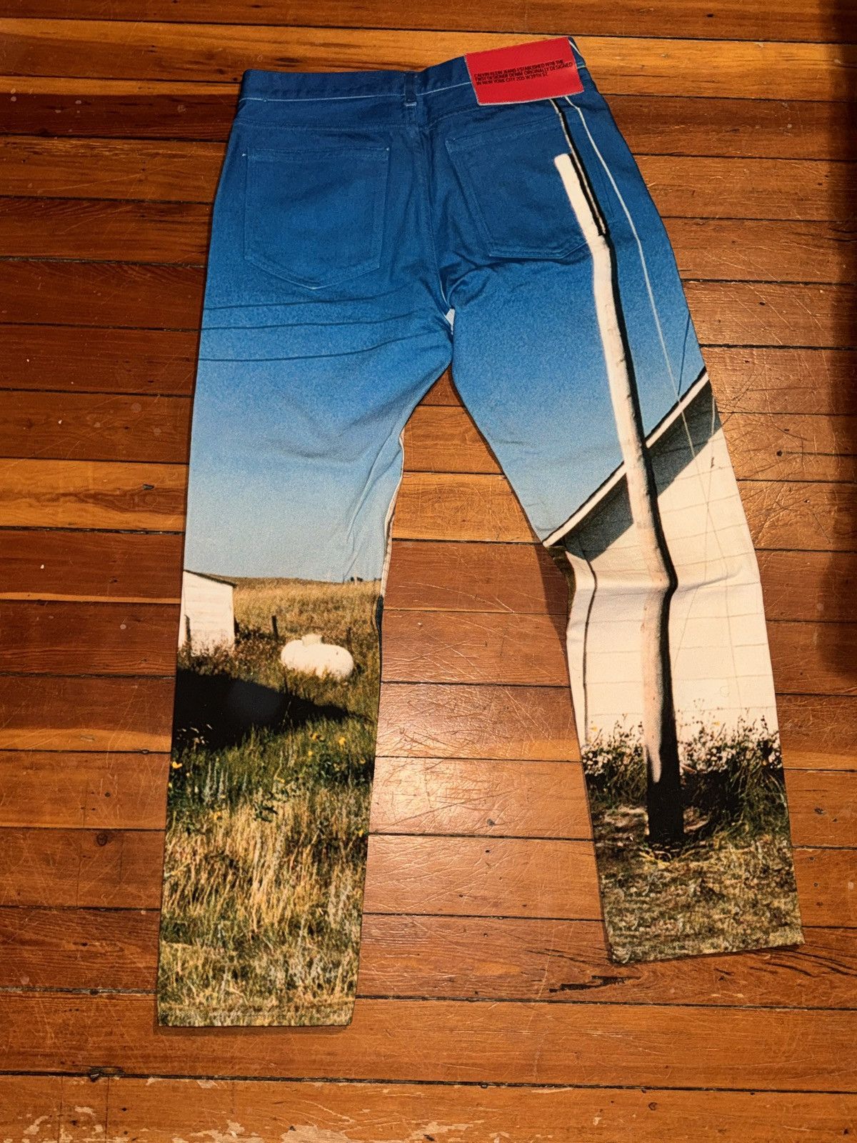 Calvin Klein 205W39NYC Calvin Klein 205W39NYC x Raf Simons Size US 32 / EU 48 - 2 Thumbnail