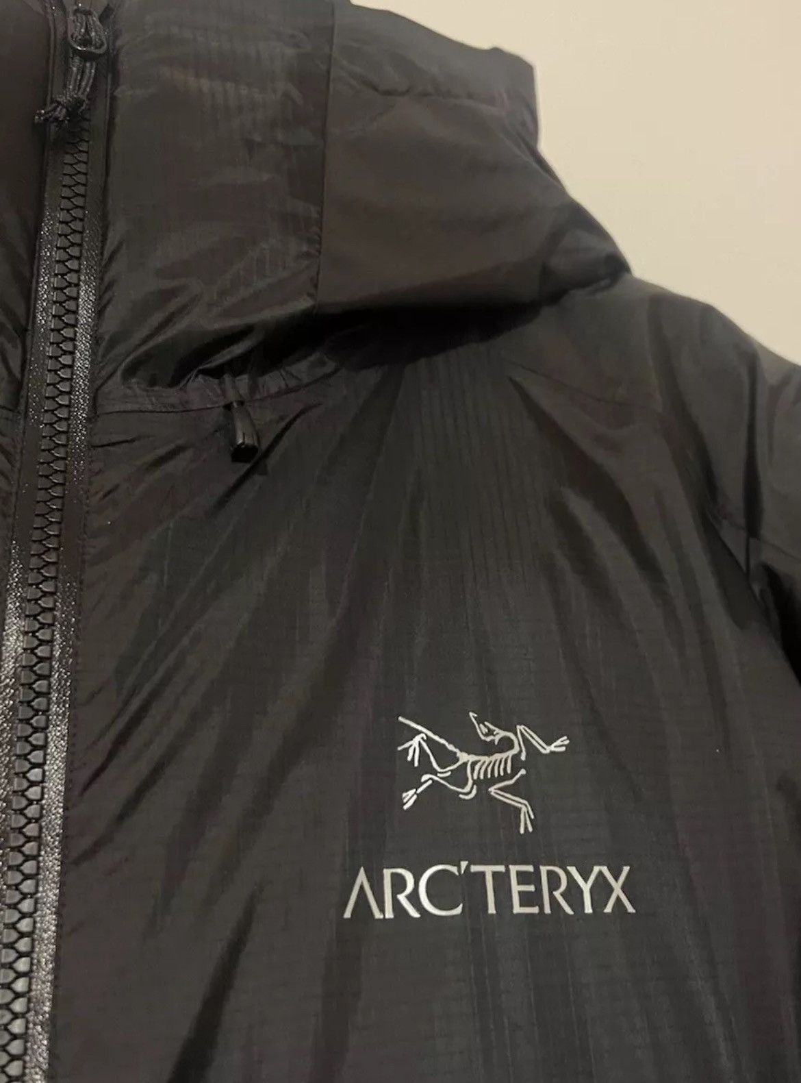 Arc'teryx Arc'teryx Firebee AR Down Parka Men’s S Gore-Tex Infinium Size US S / EU 44-46 / 1 - 2 Thumbnail