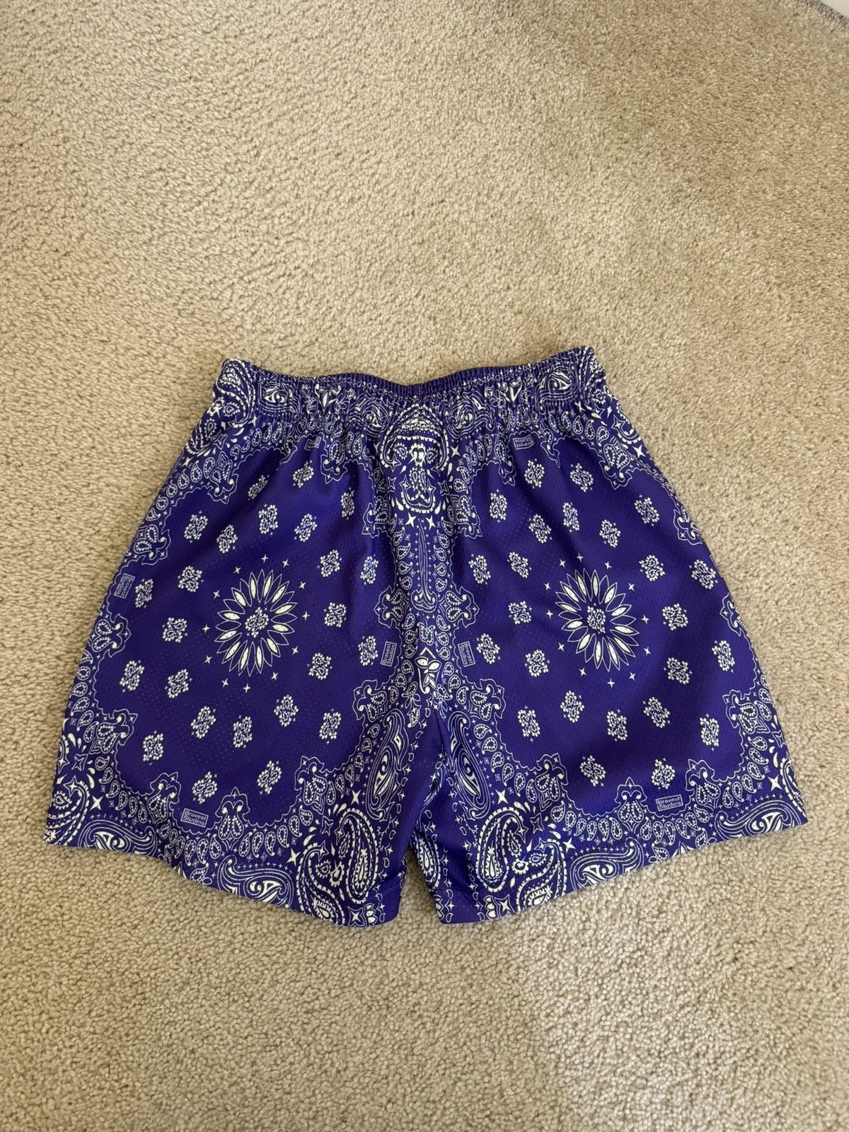 Bravest Studios Bravest studios purple paisley shorts Size US 30 / EU 46 - 4 Thumbnail