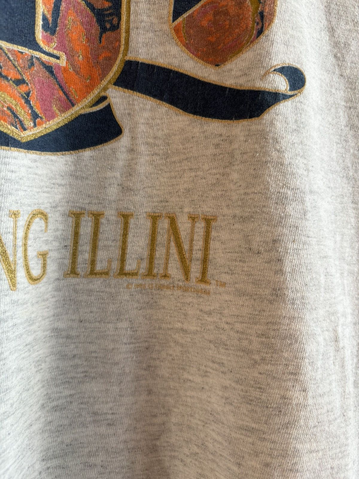 Vintage Vintage Nike University of Illionis tee t shirt high school Size US XL / EU 56 / 4 - 3 Thumbnail