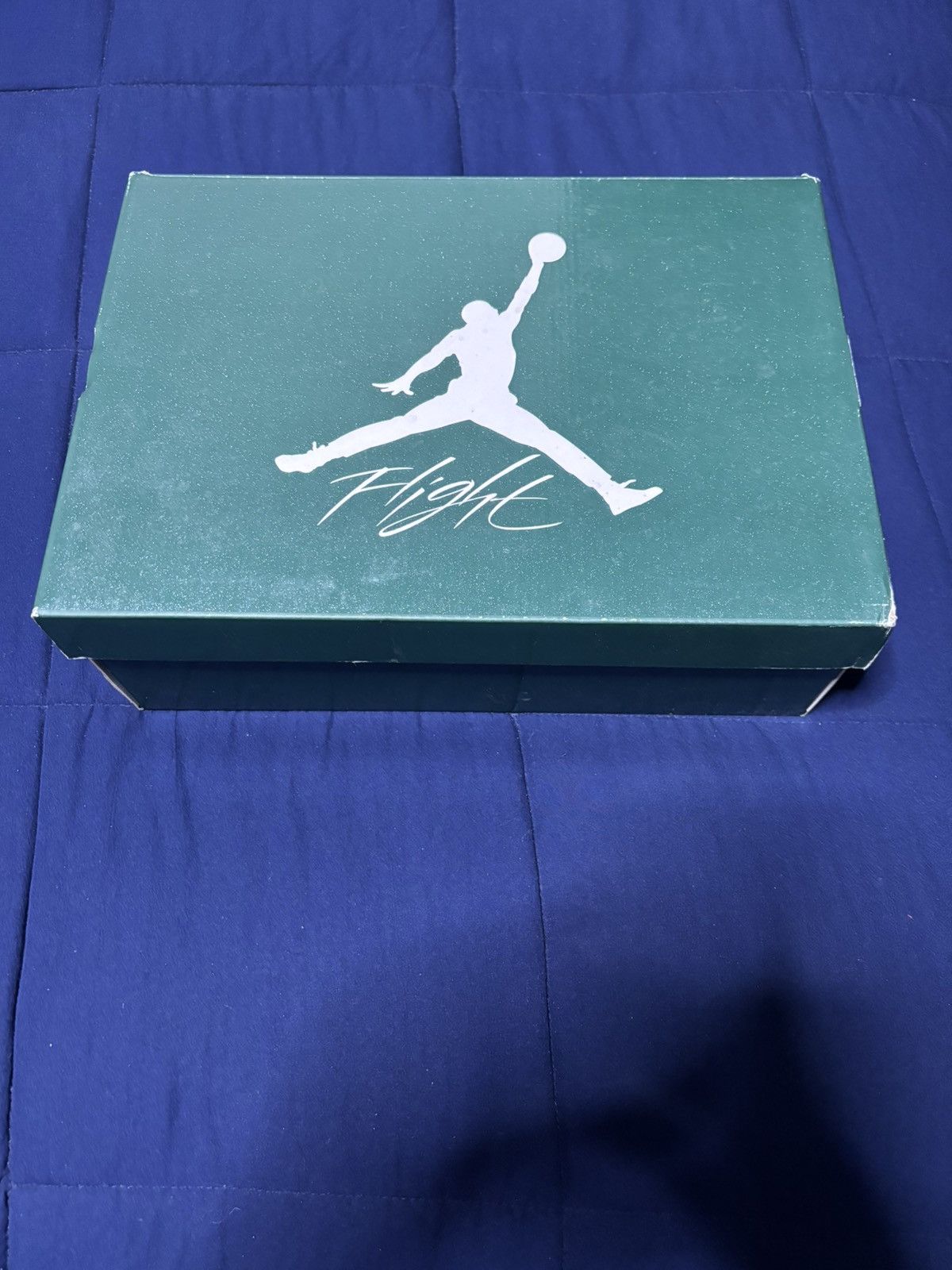Jordan Brand Jordan 4 Retro Oxidized Green 2024 Size 10 Size US 10 / EU 43 - 8 Thumbnail