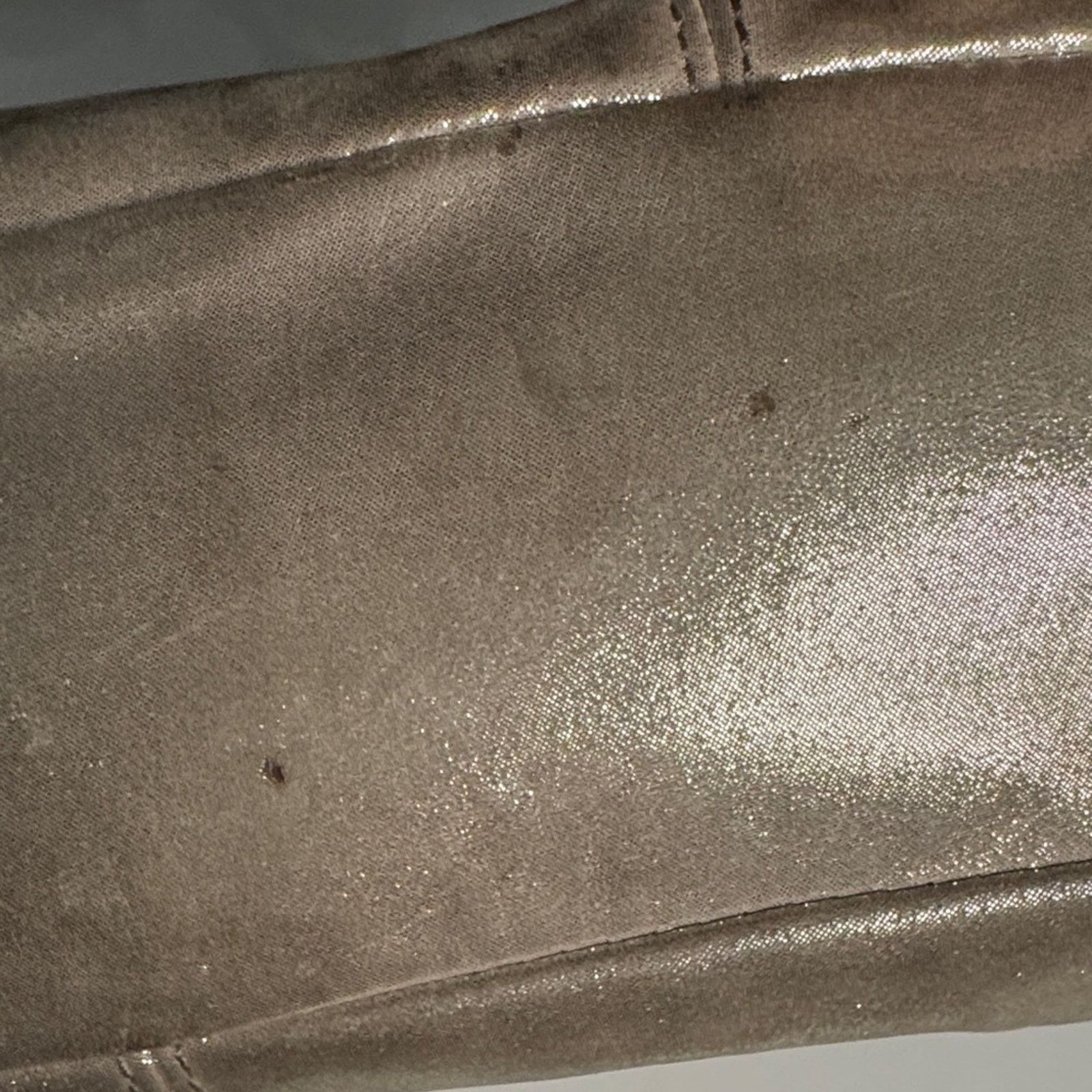 Coach Coach Metallic Leather Tote Bag – Champagne Gold Size ONE SIZE - 6 Thumbnail