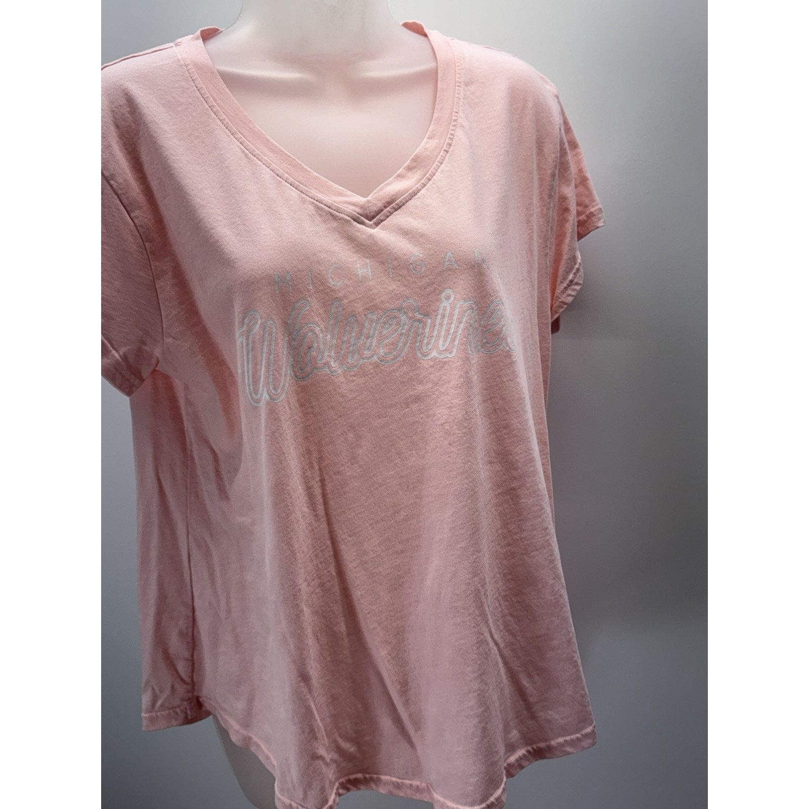 Hanes Michigan Wolverines Basic Hanes T-Shirt Womens Pink L Size US L / EU 52-54 / 3 - 2 Thumbnail