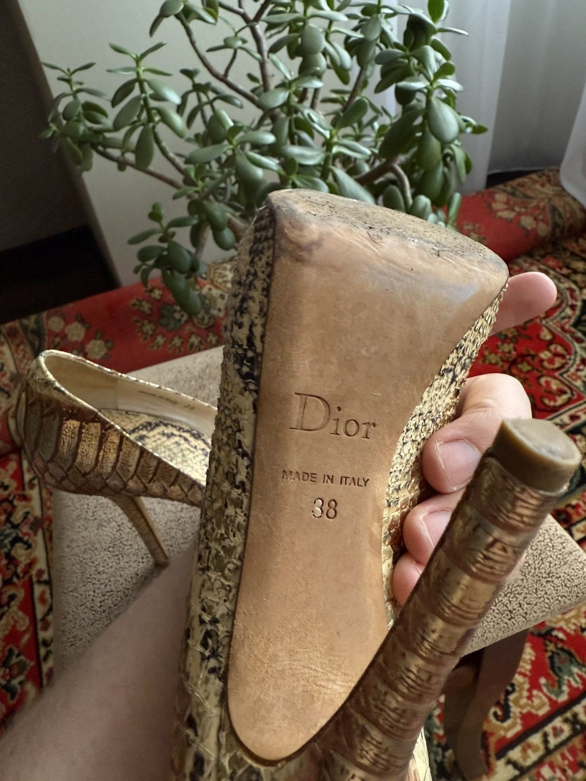 Dior Python Heels
