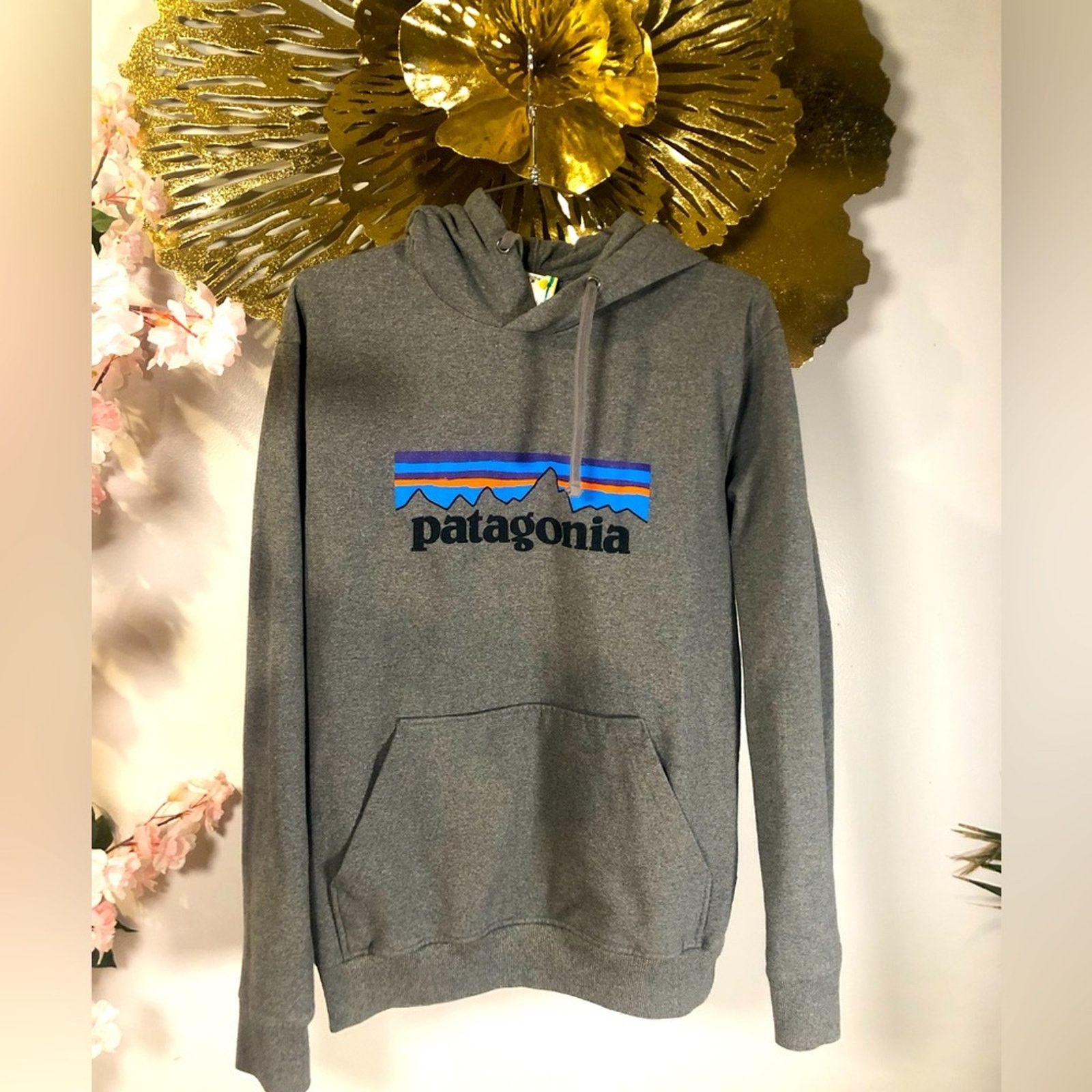 Patagonia Patagonia hoodie in grey Size M / US 6-8 / IT 42-44 - 1 Thumbnail