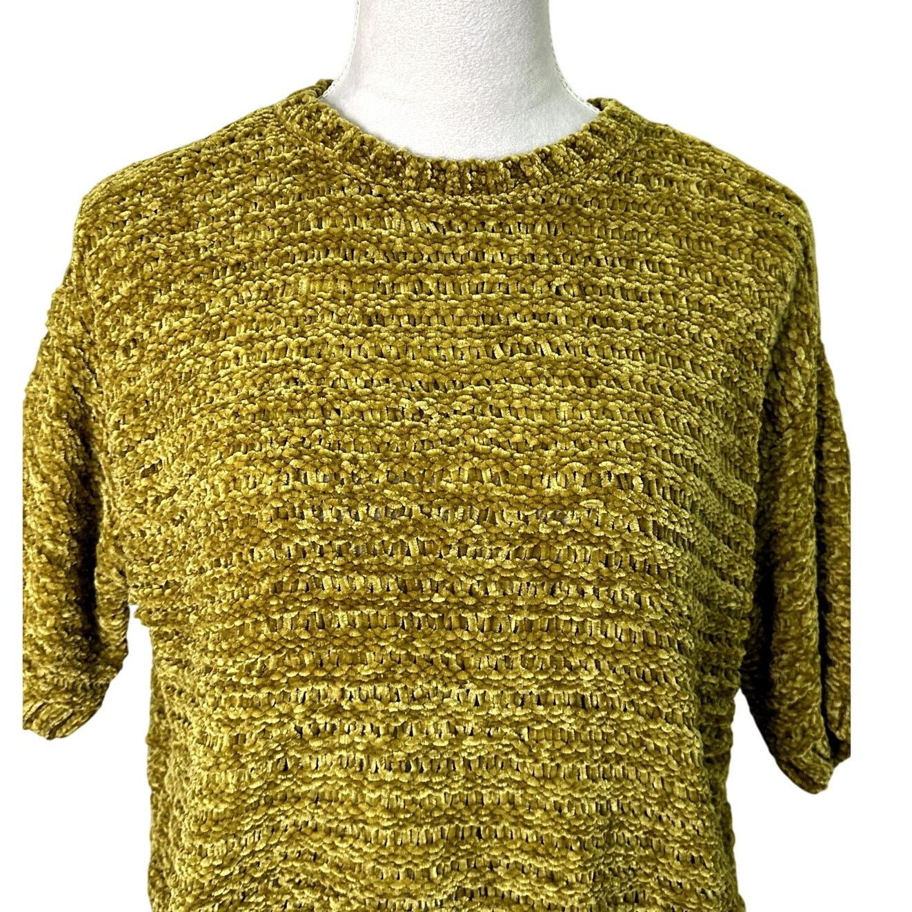 Other Open Edit Sweater Short Sleeve Crop Green Gold W Medium NWT Size M / US 6-8 / IT 42-44 - 3 Thumbnail