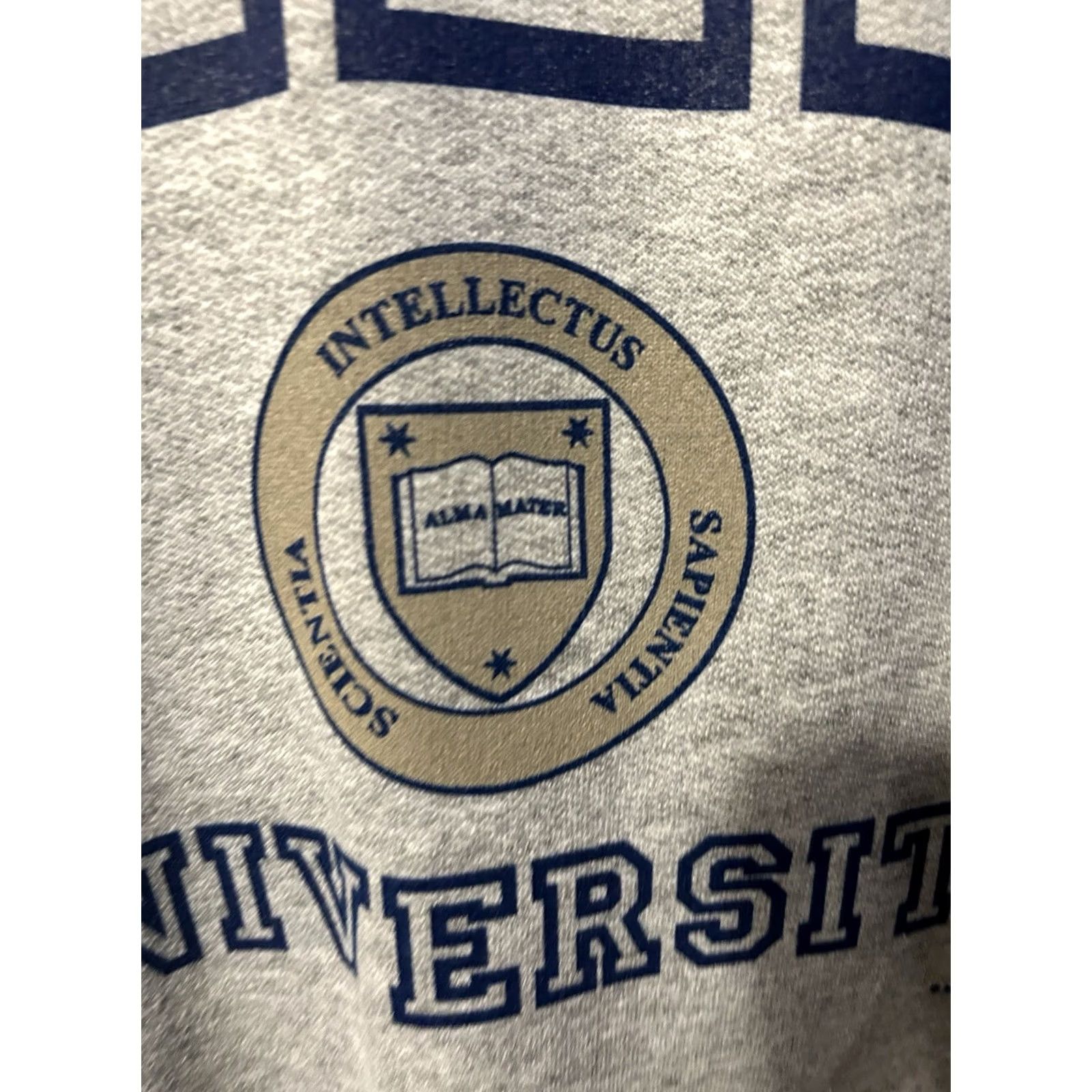 Gildan VINTAGE Gildan Sweatshirt University Klein Pullover Gray Adult Large Crew Neck Long Sleeve Graphic Print NWT Dead Stock 2002 Unisex Mens Womens Size US L / EU 52-54 / 3 - 5 Thumbnail