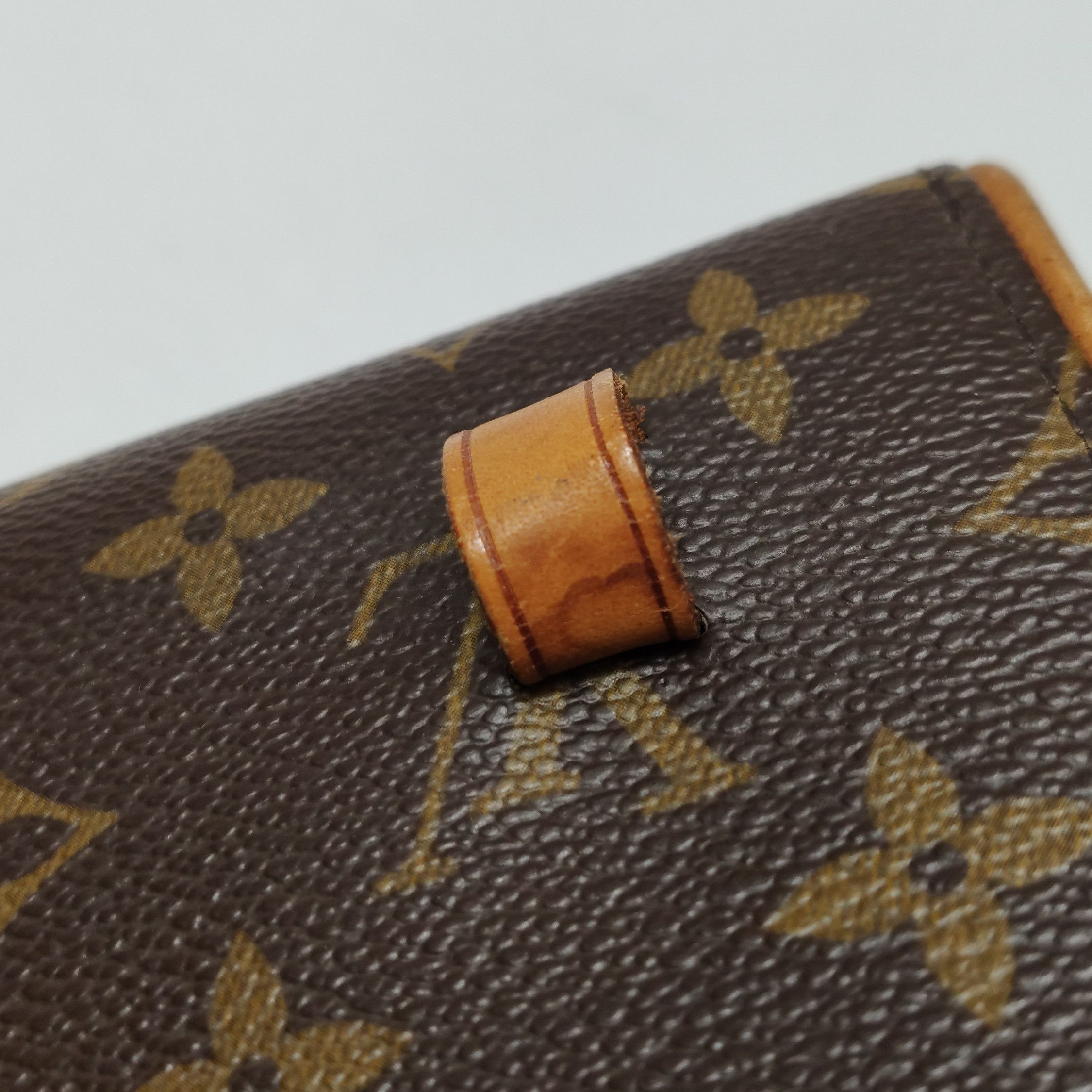Louis Vuitton Louis Vuitton (LV) Florentine vegetable tanned leather Mono Size ONE SIZE - 7 Thumbnail