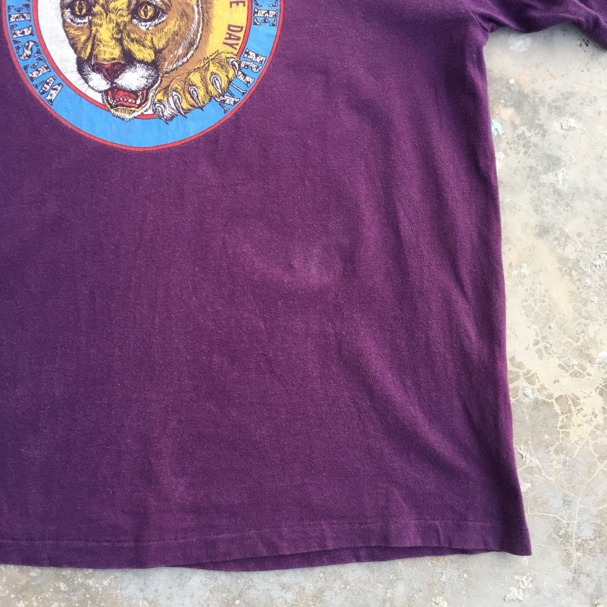 Vintage Western States Endurance Run