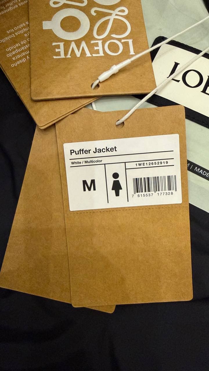 Loewe × On Loewe x On Hooded Puffer Down Jacket Size M / US 6-8 / IT 42-44 - 3 Thumbnail