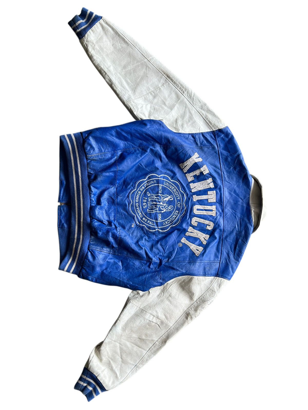 Vintage Vintage kentucky Wildcat Leather Bomber Jacket Size US L / EU 52-54 / 3 - 10 Thumbnail