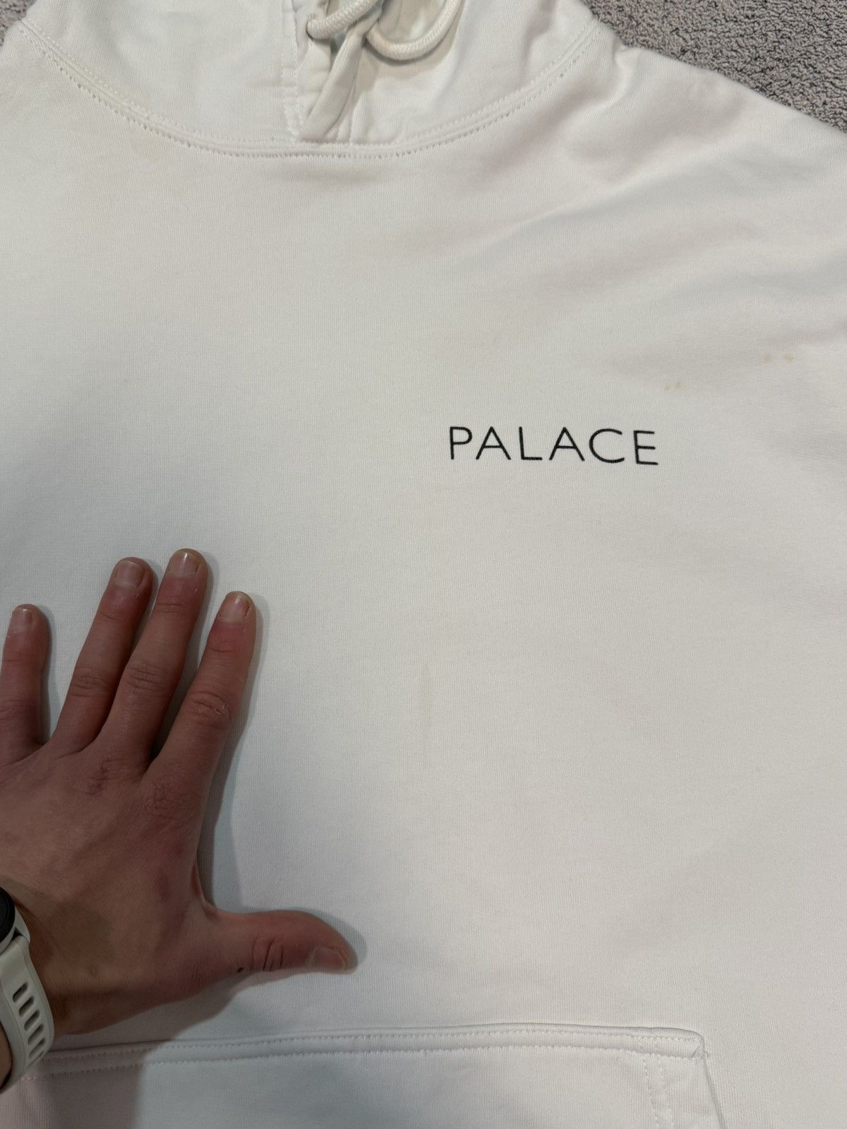 Palace Palace Skateboards Chip Hoodie Ant Graphic Logo Hooded L Size US L / EU 52-54 / 3 - 18 Thumbnail
