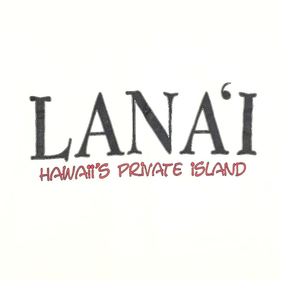 Hanes VINTAGE Lanai Hawaii T Shirt Mens XL White 90s Travel Made In USA Hanes Shirt Mens XL White 90s Travel Hawaii Lanai Size US XL / EU 56 / 4 - 3 Thumbnail