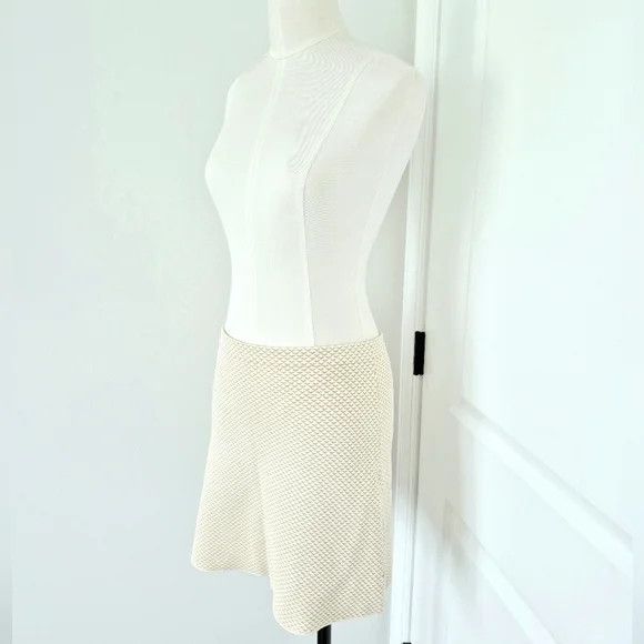 Theory Teslia Sue Ivory Mix Jaquard Knit Skirt Gift Party Spring Size 27" / US 4 / IT 40 - 10 Thumbnail