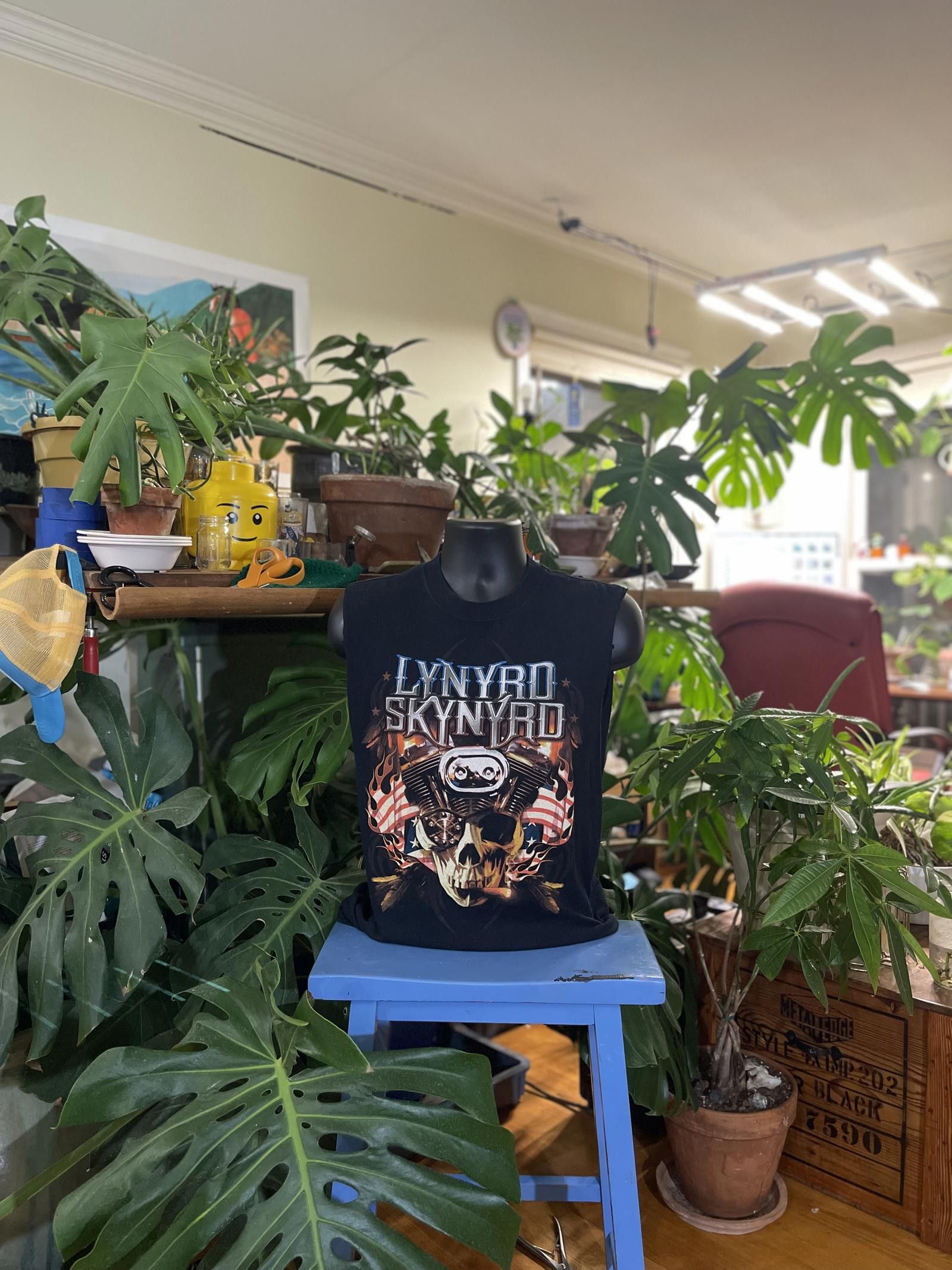 Anvil Lynyrd Skynyrd 2022 Tour Graphic Tank Top Size US S / EU 44-46 / 1 - 1 Thumbnail