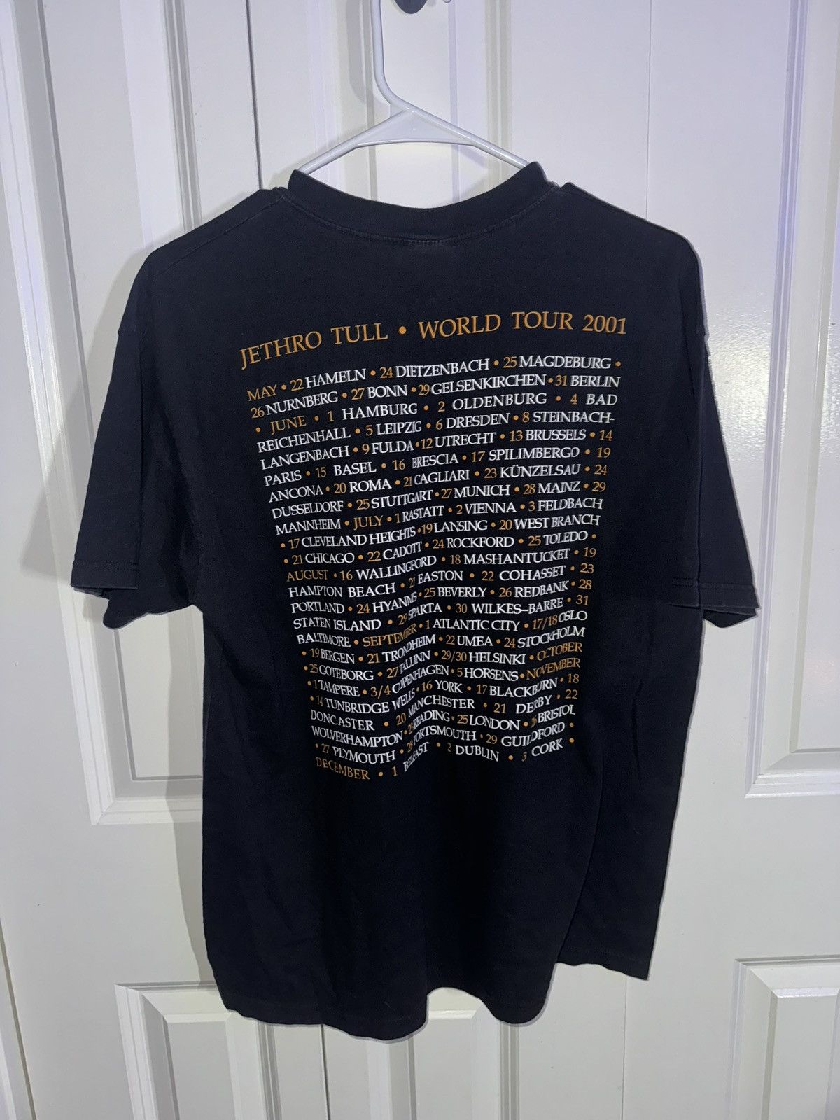 Band Tees × Hanes × Vintage Vintage Y2K Jethro Tull Shirt Aqualung World Tour 2001 Size US L / EU 52-54 / 3 - 2 Thumbnail