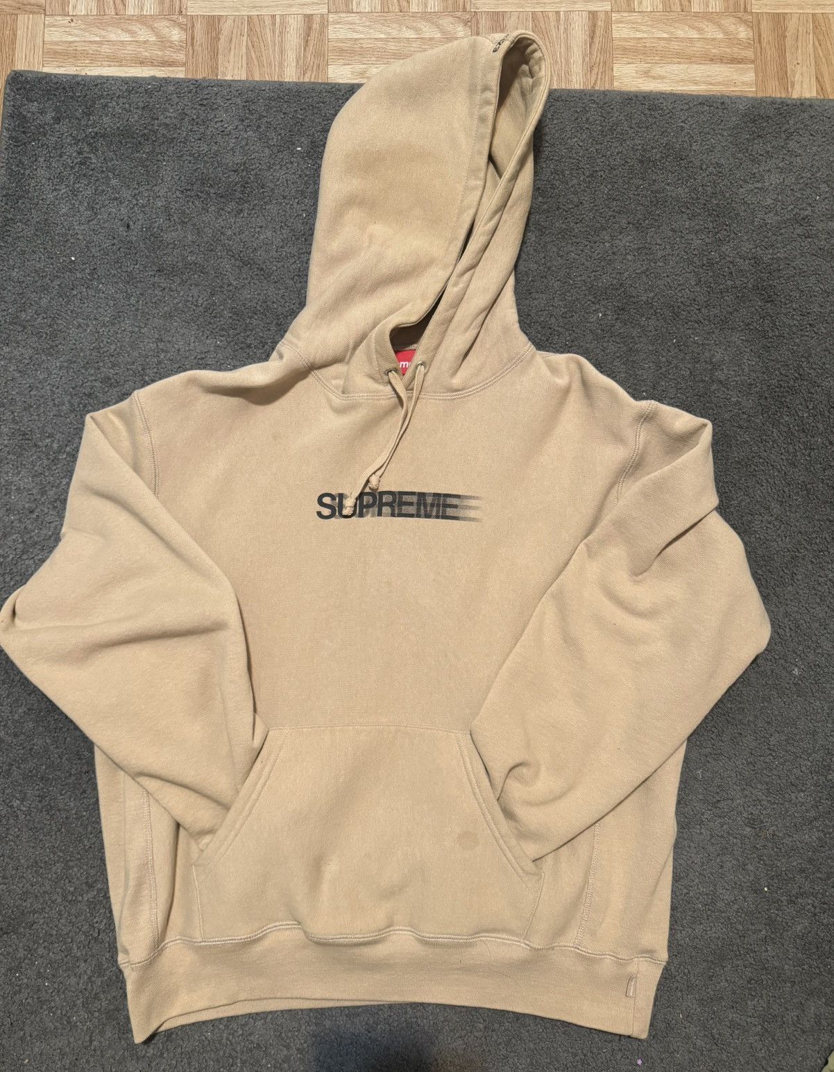 Supreme Motion Logo Hoodie