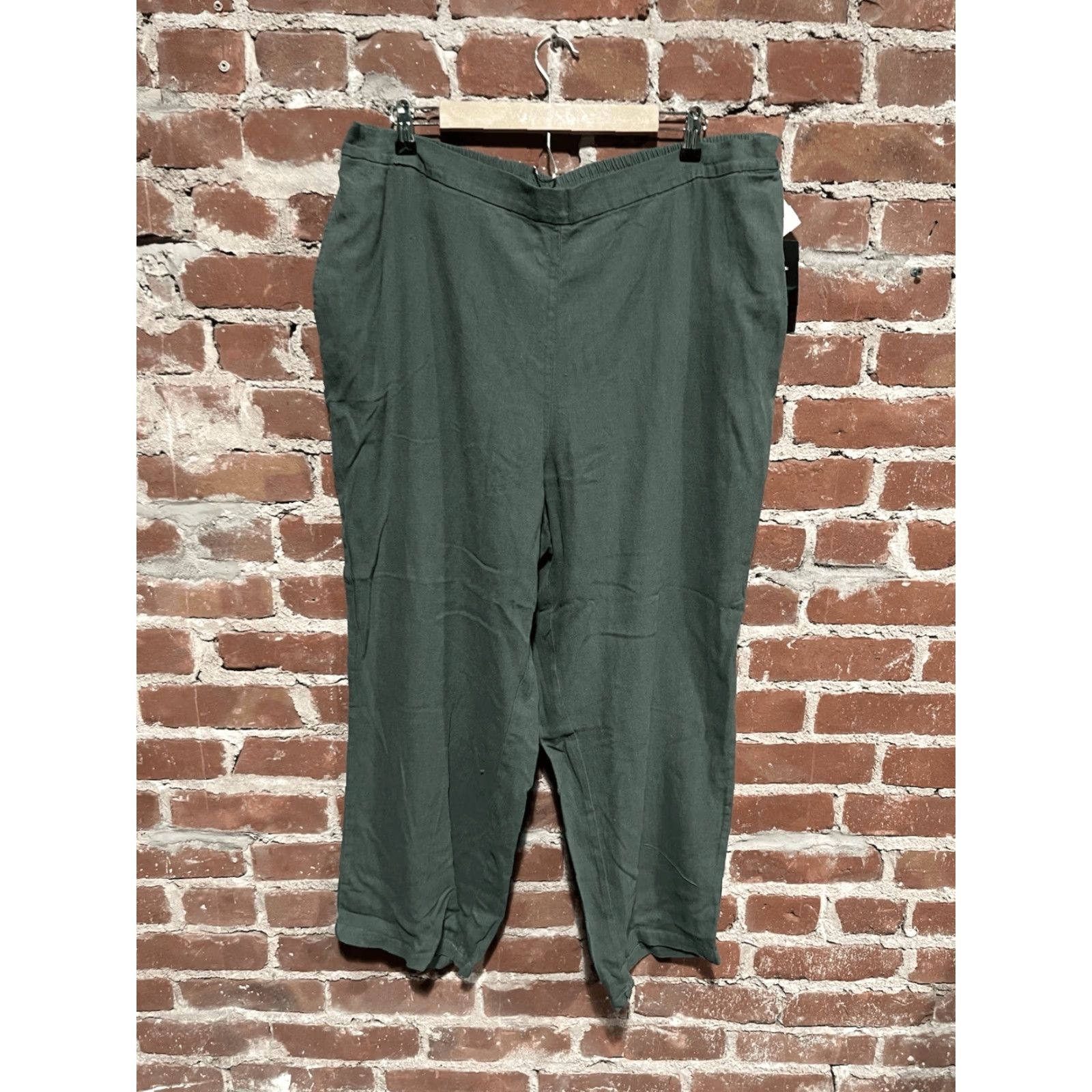 Vintage VINTAGE Woman Within Womens Green Cropped Linen Pants 24W Petite NWT Green Cropped Linen Pants Women 24W Petite NWT Mens? Size 42" / US 20 - 2 Thumbnail