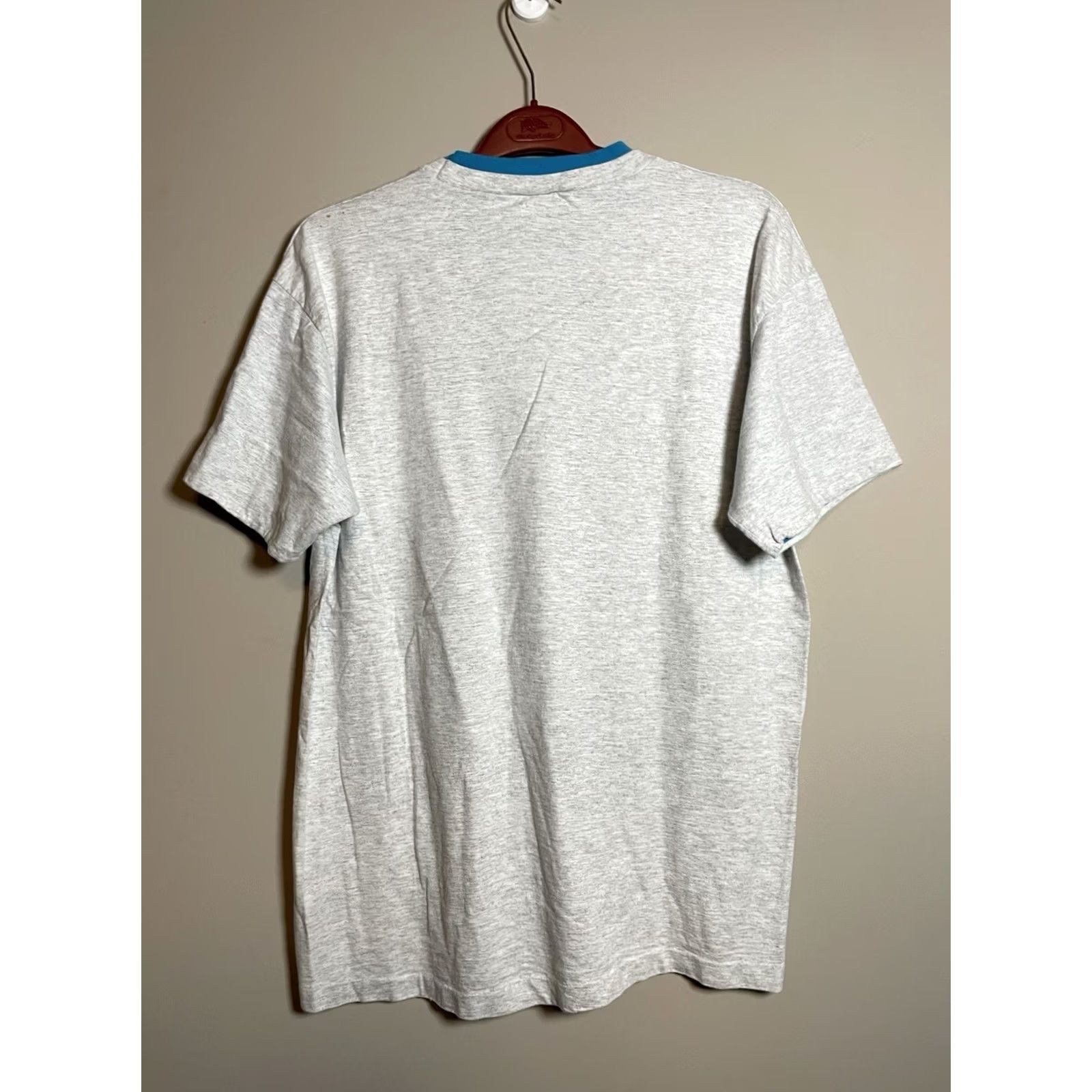 Anvil VINTAGE 90s Charleston South Carolina T Shirt USA Men XL Anvil Gray Cotton Knit Crew Neck Short Sleeve Graphic Print Size US XL / EU 56 / 4 - 5 Thumbnail