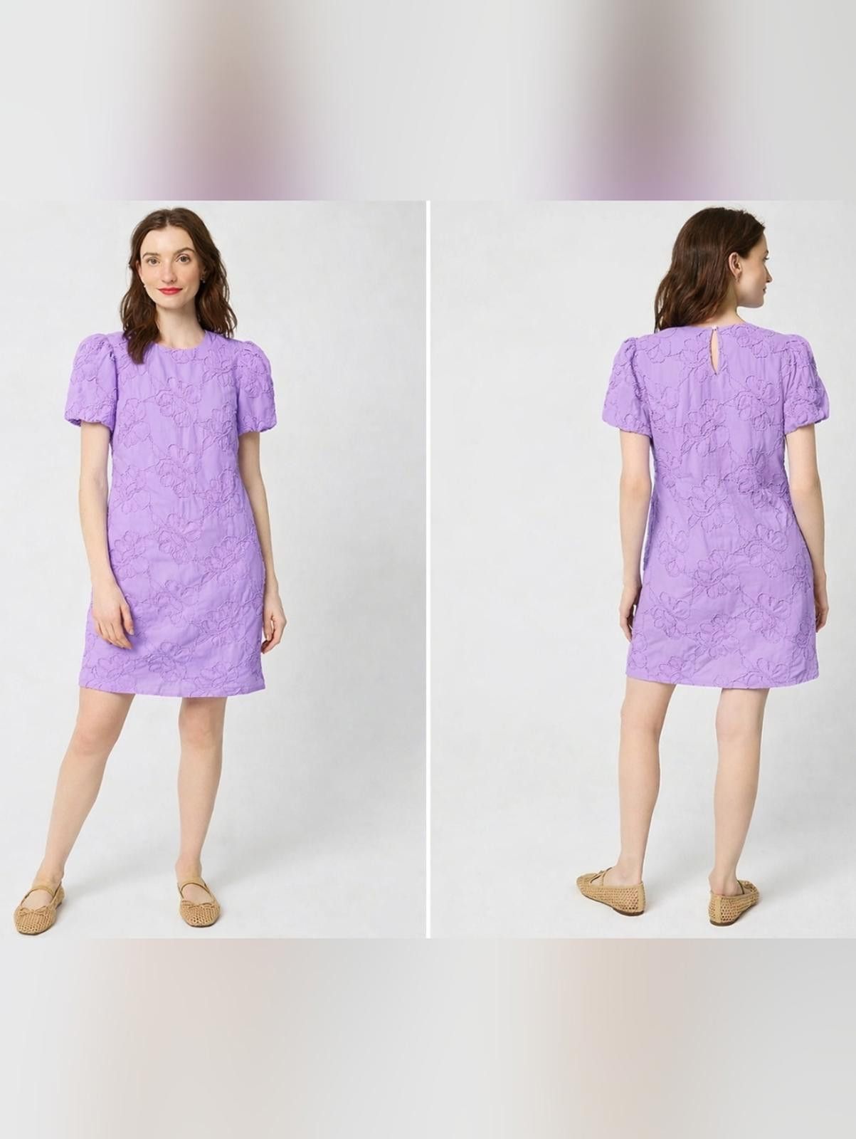 J.Crew J Crew Embroidered puff-sleeve mini dress Size S / US 4 / IT 40 - 1 Thumbnail