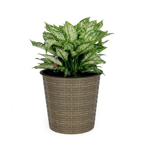 Designer × Homemade 10.2" Self-watering Wicker Decor Planter for Indoor and Outd Size US L / EU 52-54 / 3 - 1 Thumbnail