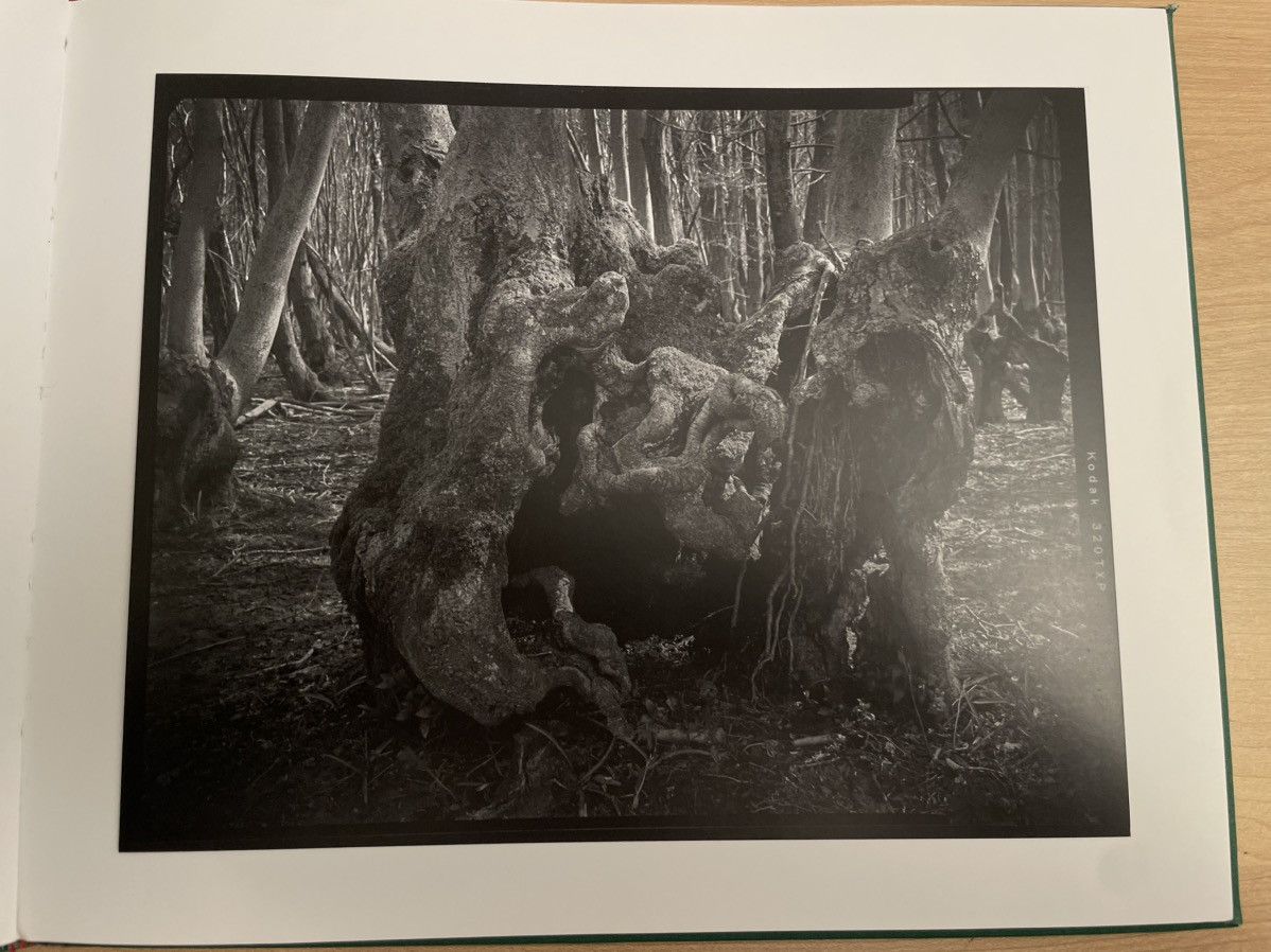 Paul Harnden Shoemakers Paul Harnden Book “ancient coppice stools” Size ONE SIZE - 8 Thumbnail
