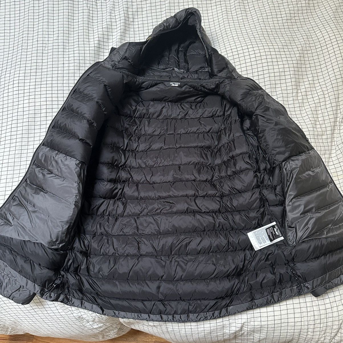 FW20 Arc
