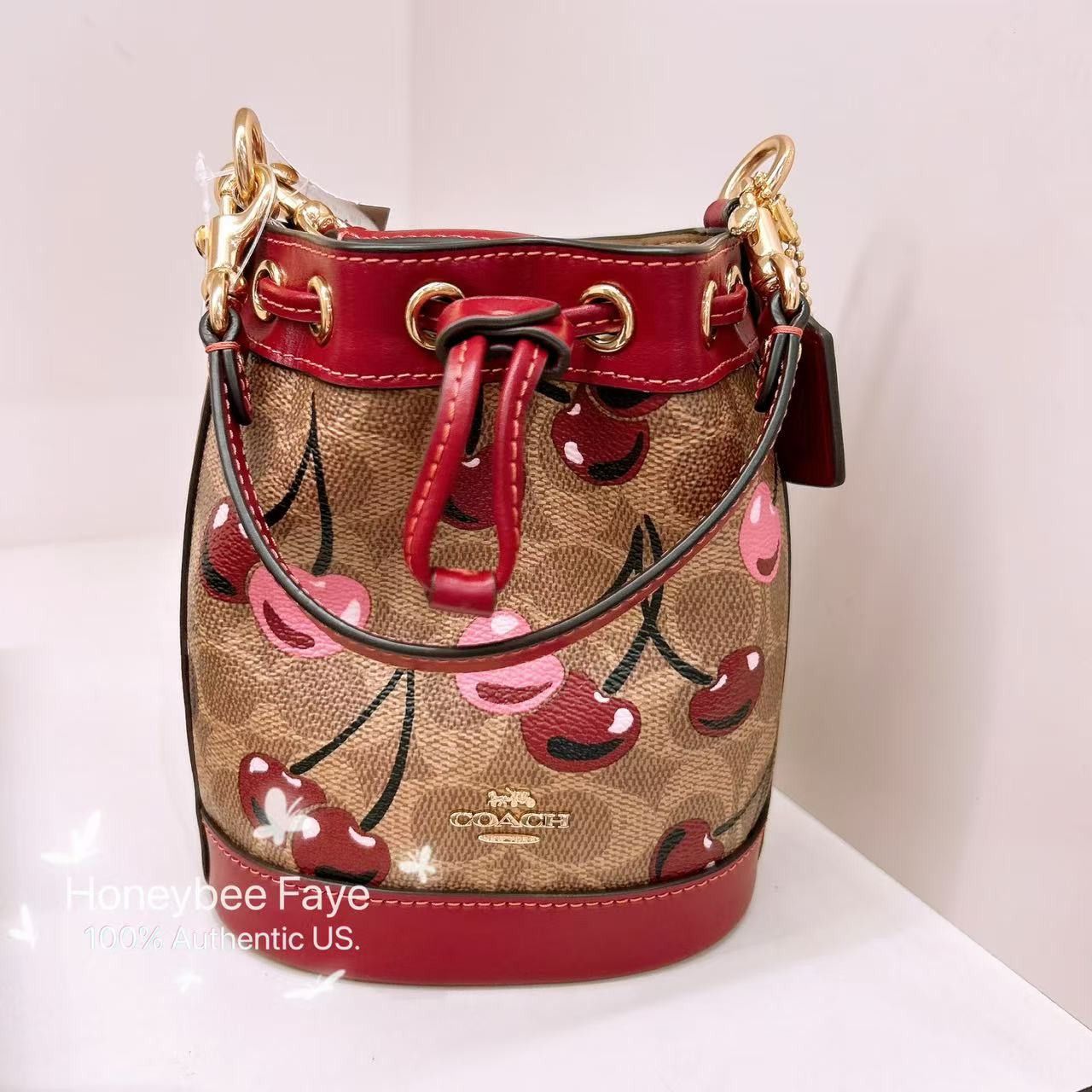 Coach 🍒 Mini Bucket Bag In Signature Canvas With Cherry CY738 Size ONE SIZE - 1 Thumbnail