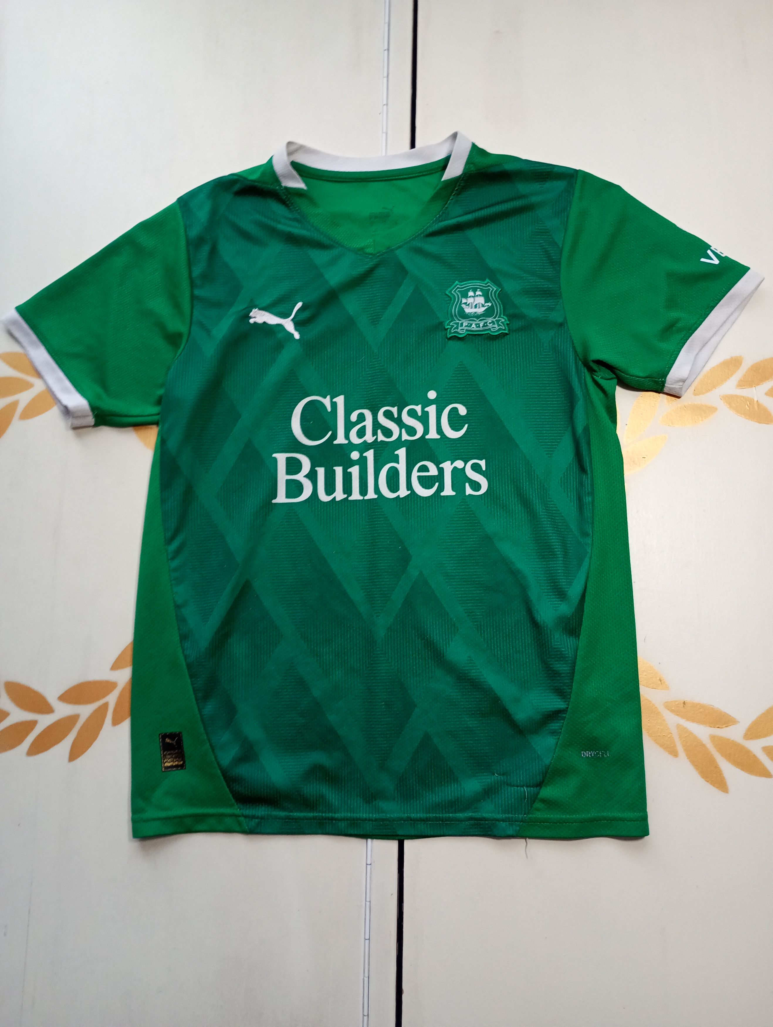 Puma Puma Plymouth Argyle FC Home Jersey 2024-2025 Size US S / EU 44-46 / 1 - 2 Thumbnail