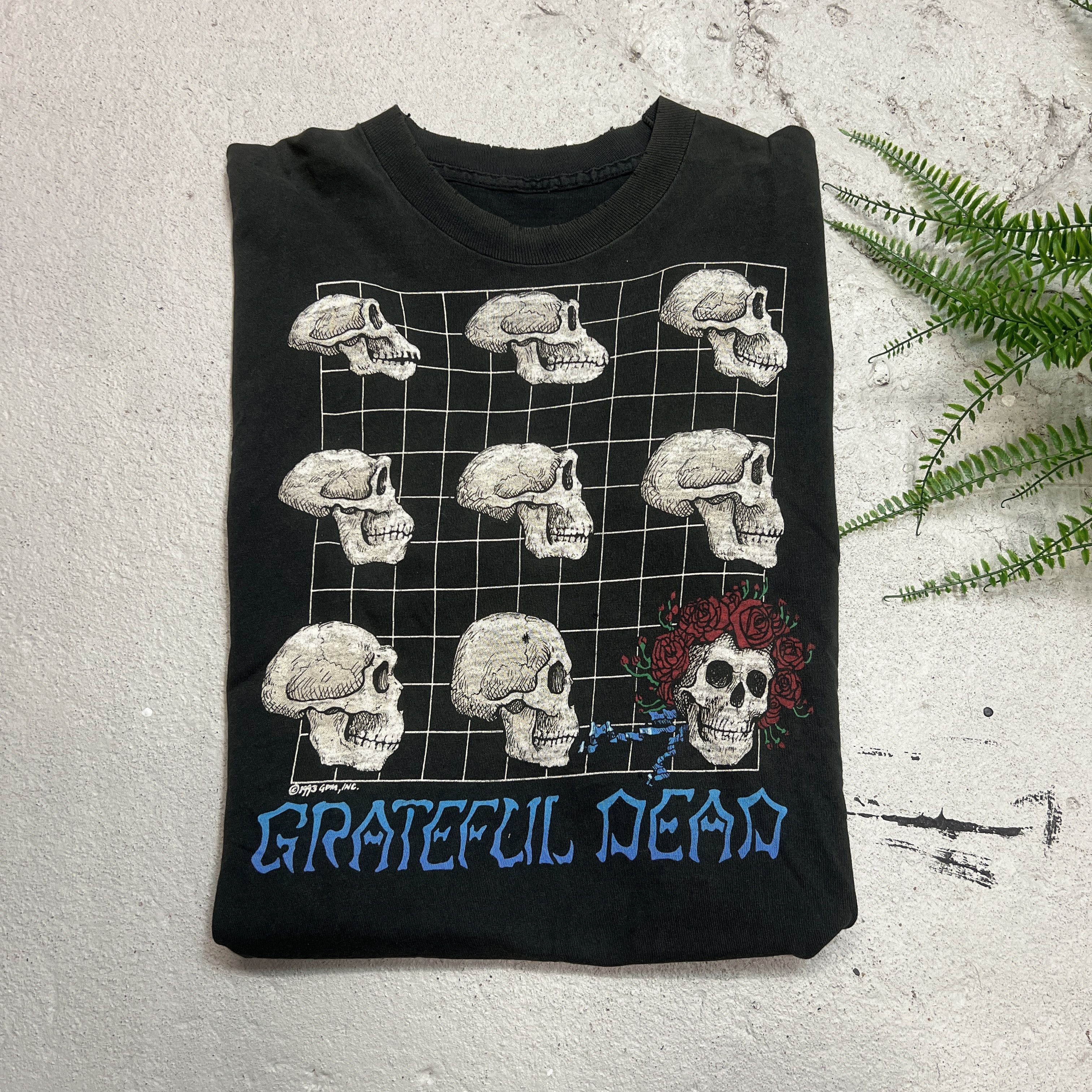 Grateful Dead × Vintage 1993 Grateful Dead Evolution Promo Band Tee Deadhead Size US XL / EU 56 / 4 - 1 Thumbnail