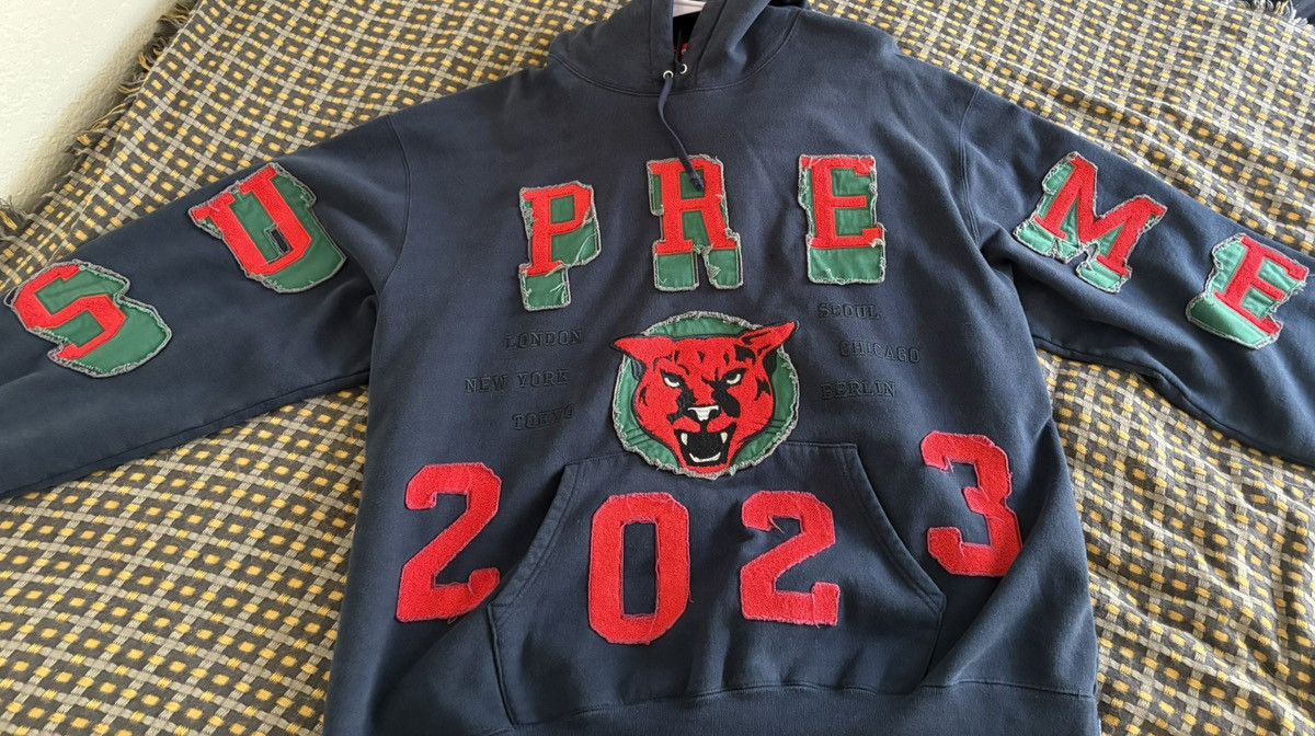 Supreme Supreme Washed Panther Hooded Sweatshirt | Grailed