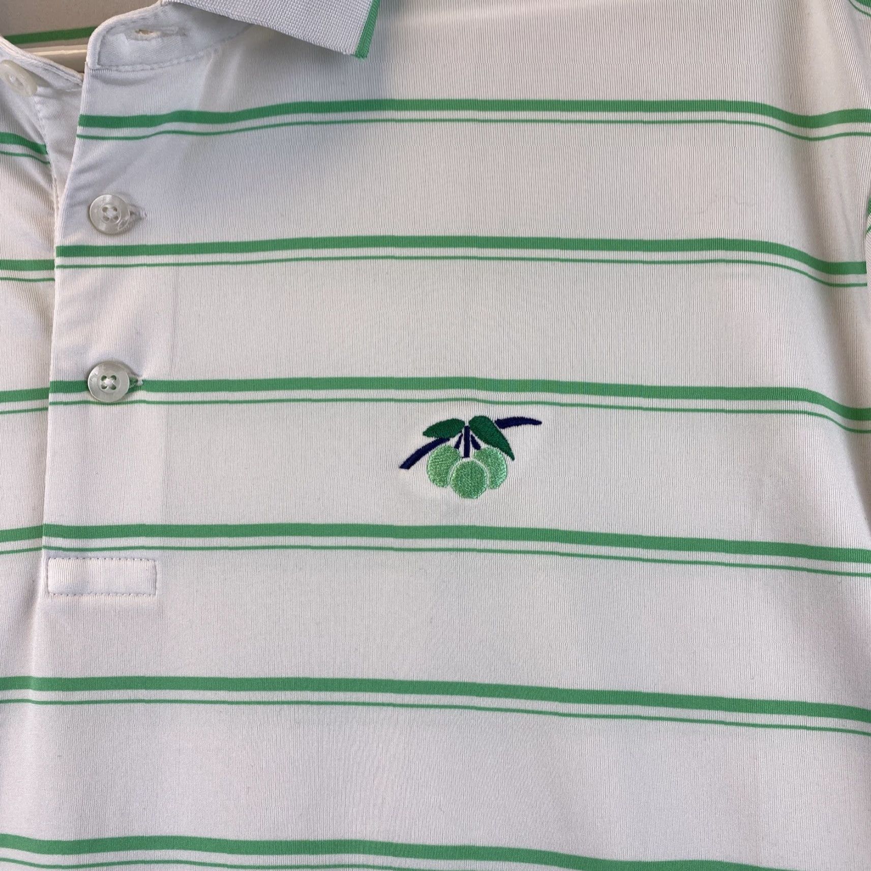 RLX Ralph Lauren VINTAGE RLX Ralph Lauren Polo Shirt Golf Short Sleeve Men L Green 87-1 Mens Polo Size US L / EU 52-54 / 3 - 2 Thumbnail
