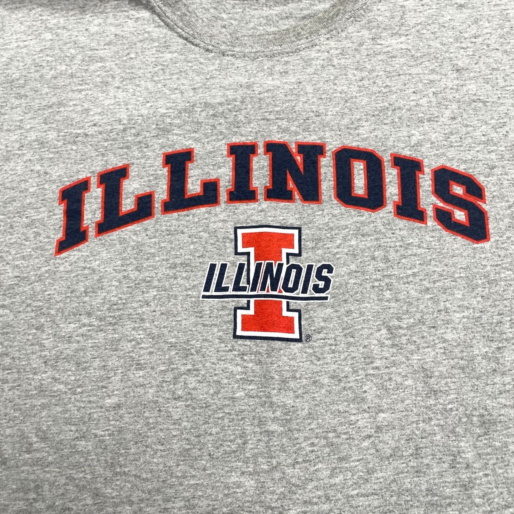 Gildan Gildan Heavy Cotton T-Shirt Mens Large Gray University Of Illinois Tee Size US L / EU 52-54 / 3 - 3 Thumbnail