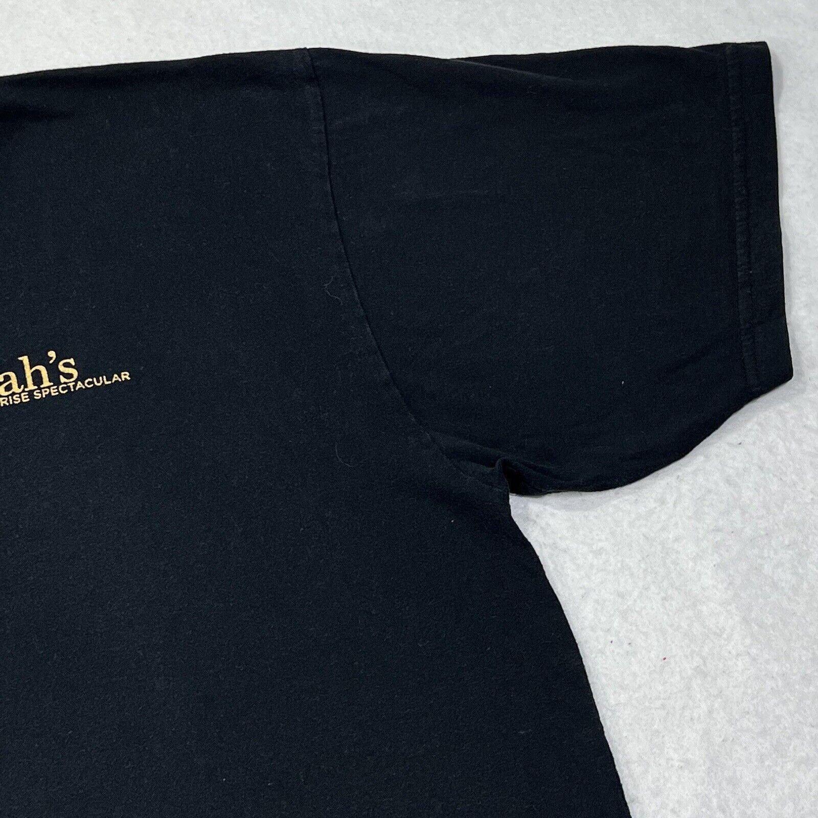 Anvil Oprah Winfrey Surprise Spectacular Crew Member Graphic Tee Size US XL / EU 56 / 4 - 5 Thumbnail