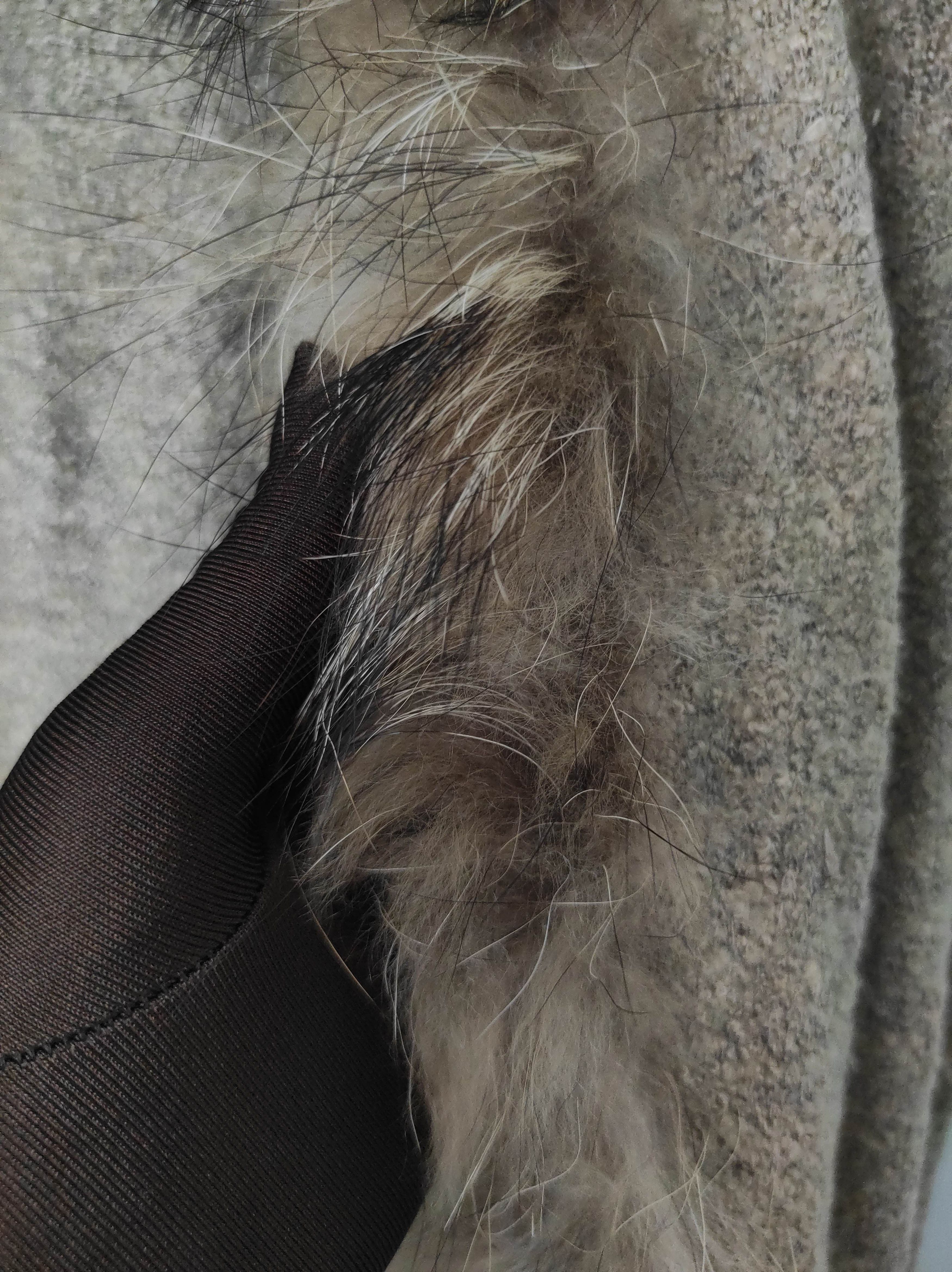 Aran Isles Knitwear SOOS Knit Zip Fur Raccon Hoodie IfSixWasNine LGB style Size S / US 4 / IT 40 - 10 Thumbnail