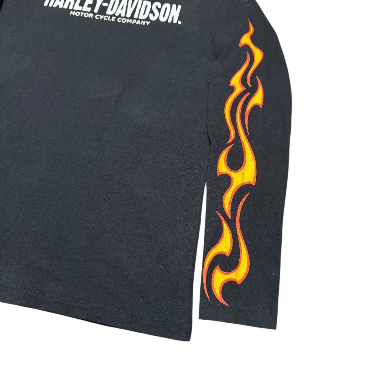 Harley Davidson Harley Davidson Skulls Flames Longsleeve Shirt Size US S / EU 44-46 / 1 - 6 Thumbnail