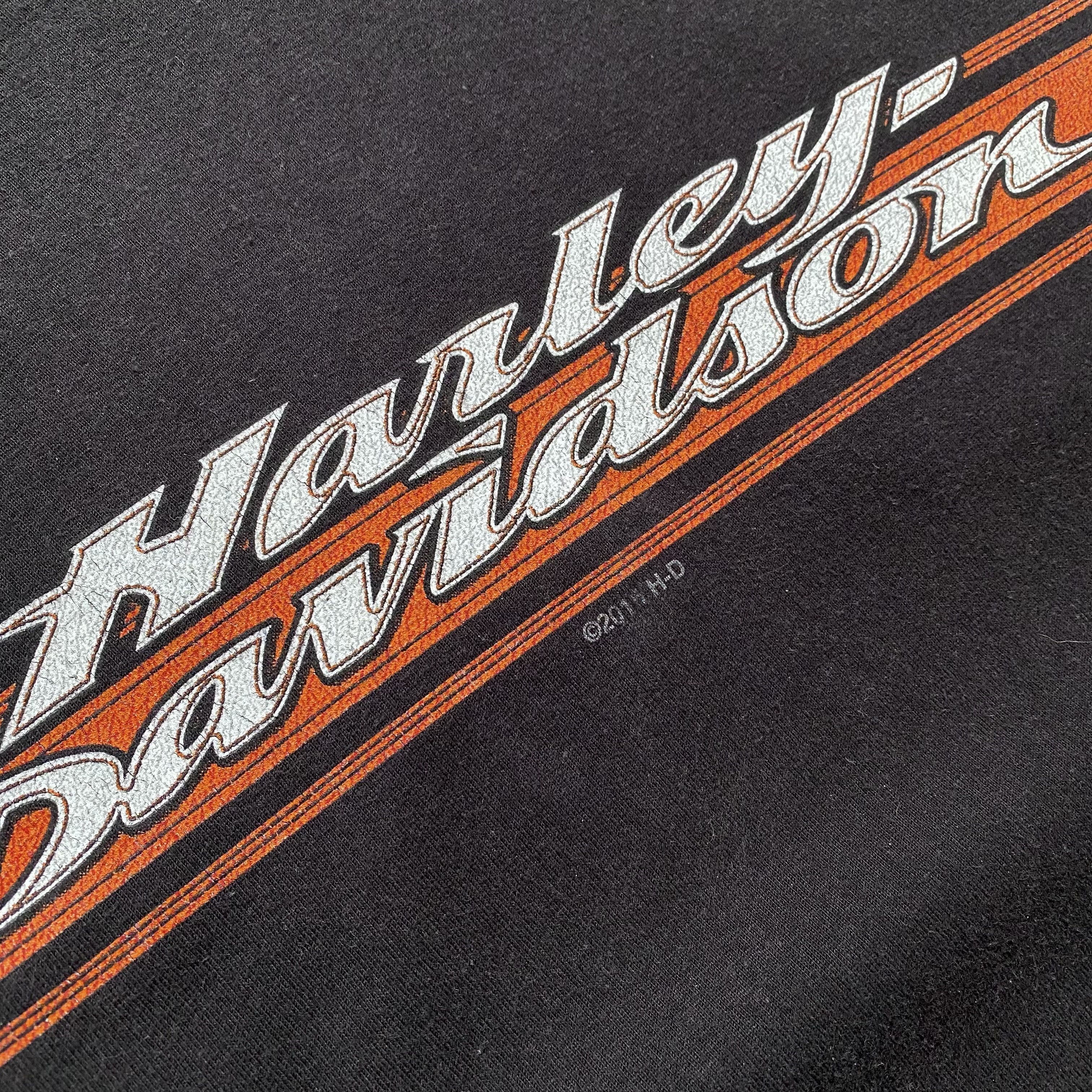 Harley Davidson Rock x Harley Davidson vintage washed TEE motorcycles Y2K Size US XL / EU 56 / 4 - 7 Thumbnail