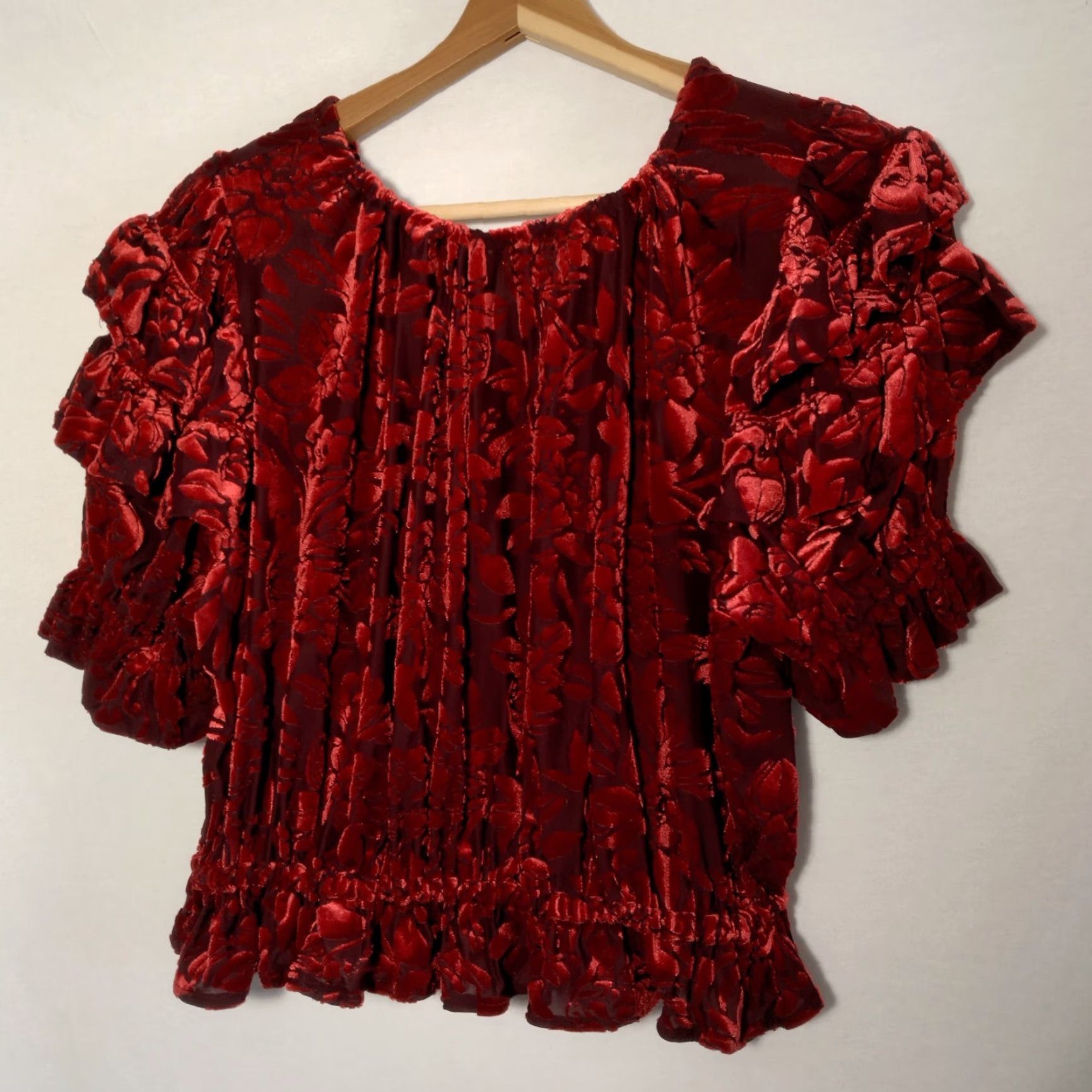 Free People Free People Velveteen Dream Shirt S Red Floral Velour Crop Peasant Ruffle V Neck Size S / US 4 / IT 40 - 5 Thumbnail