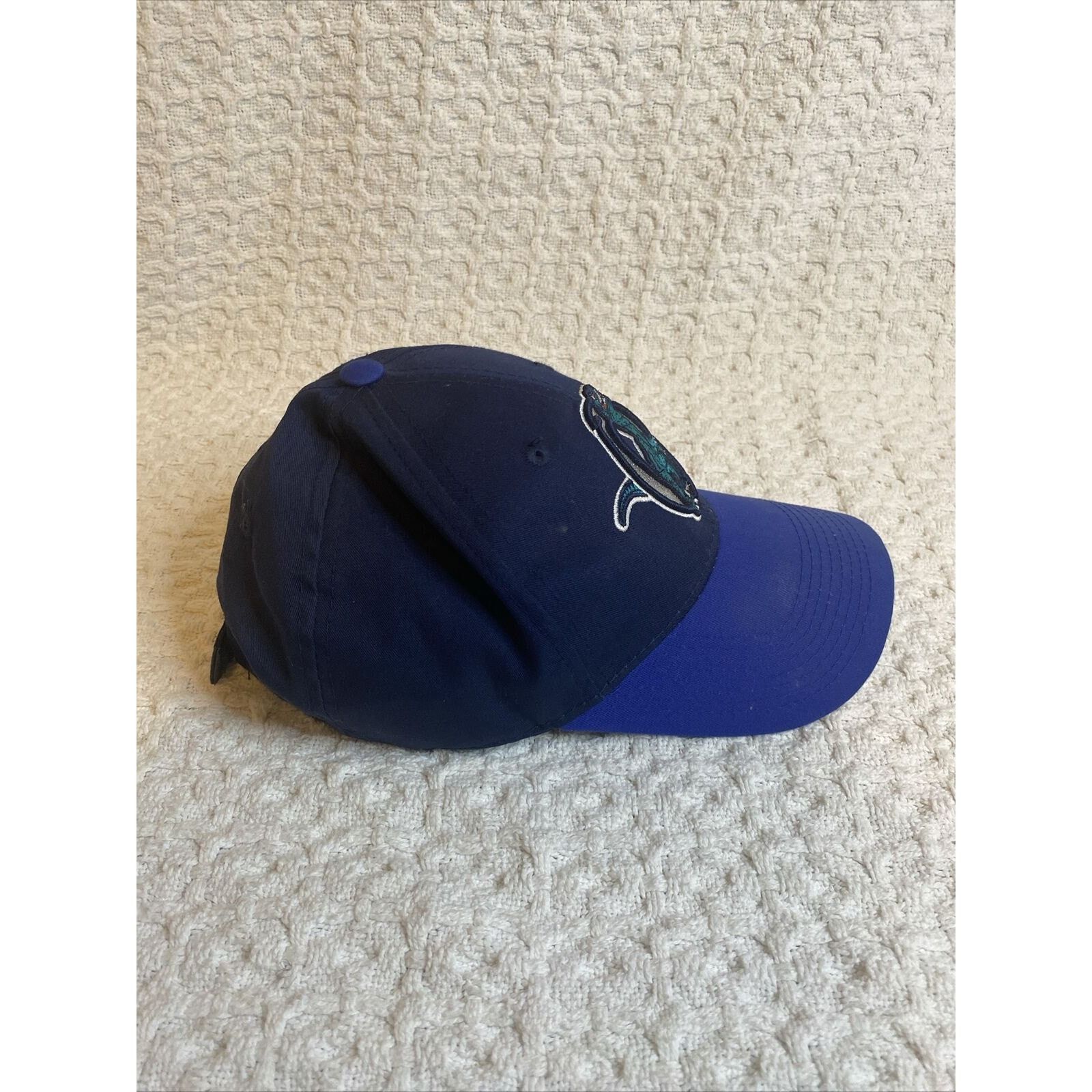 (di)vision Ogden Raptors Hat StrapBack Blue OC Minor Baseball MILB Utah Size ONE SIZE - 4 Thumbnail