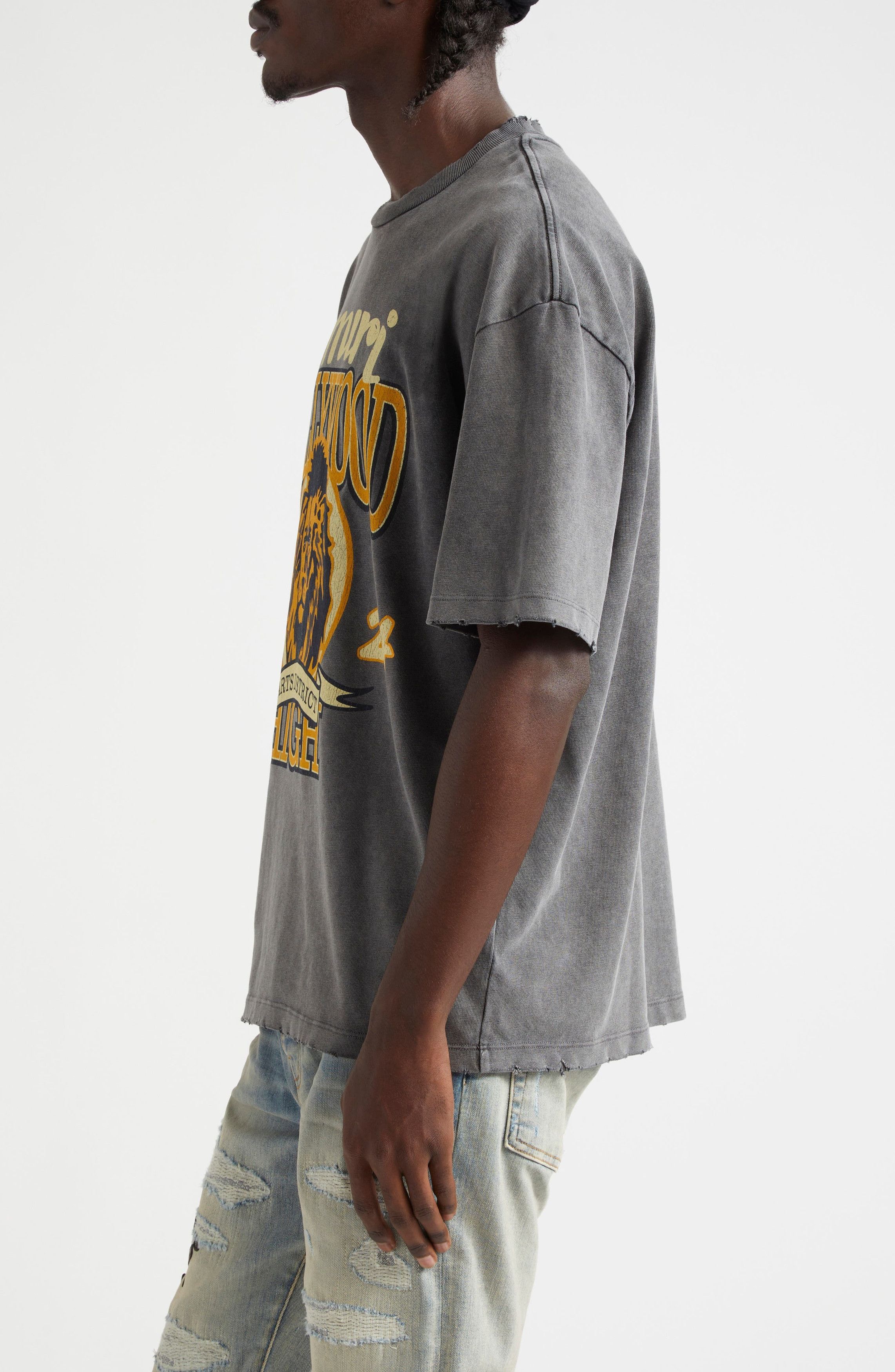 Amiri o1orln1125 High Lion Distressed Graphic T-Shirt in Dark Grey Size US S / EU 44-46 / 1 - 4 Thumbnail