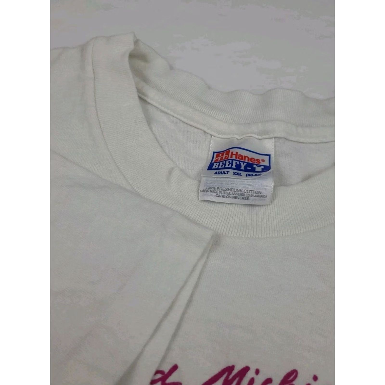 Hanes VINTAGE 90s Holland Michigan Tulips Flower Print T Shirt Hanes White 2XL Mens Shirt Short Sleeve Crew Neck USA Tulips 90s Size US XXL / EU 58 / 5 - 4 Thumbnail