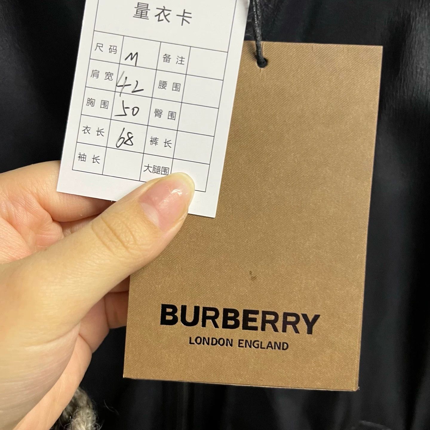 Burberry Burberry Latest Blue Solid Stand Collar Leather Jacket Size US M / EU 48-50 / 2 - 2 Thumbnail