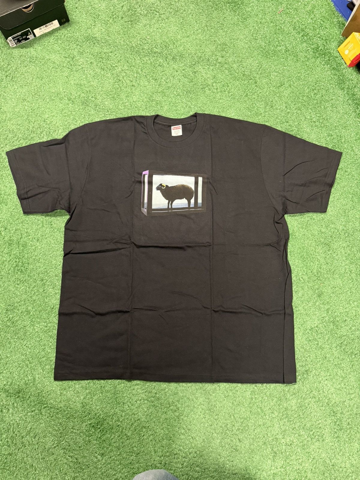 Supreme Supreme damien hurst sheep tee shirt Size US XXL / EU 58 / 5 - 2 Thumbnail