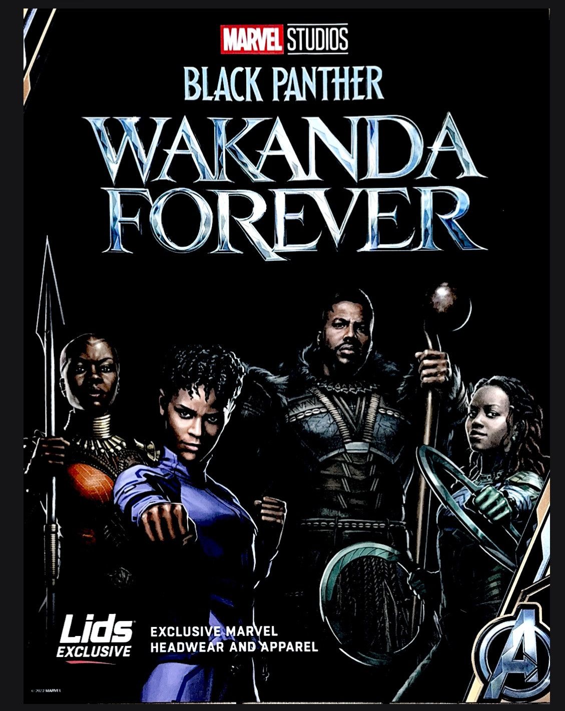 Marvel Comics Marvel Avengers & Black Panther Double Sided Poster Size ONE SIZE - 2 Thumbnail