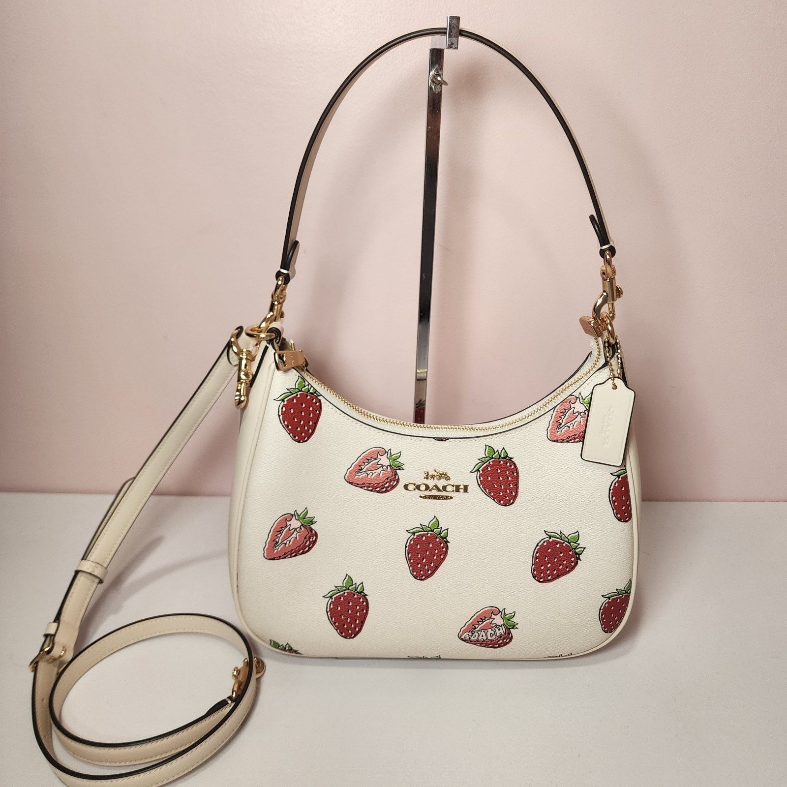 日本未入荷 Coach Teri Hobo Bag CAL67 フルーツ柄 Coach Teri Hobo Bag | Brixton Baker