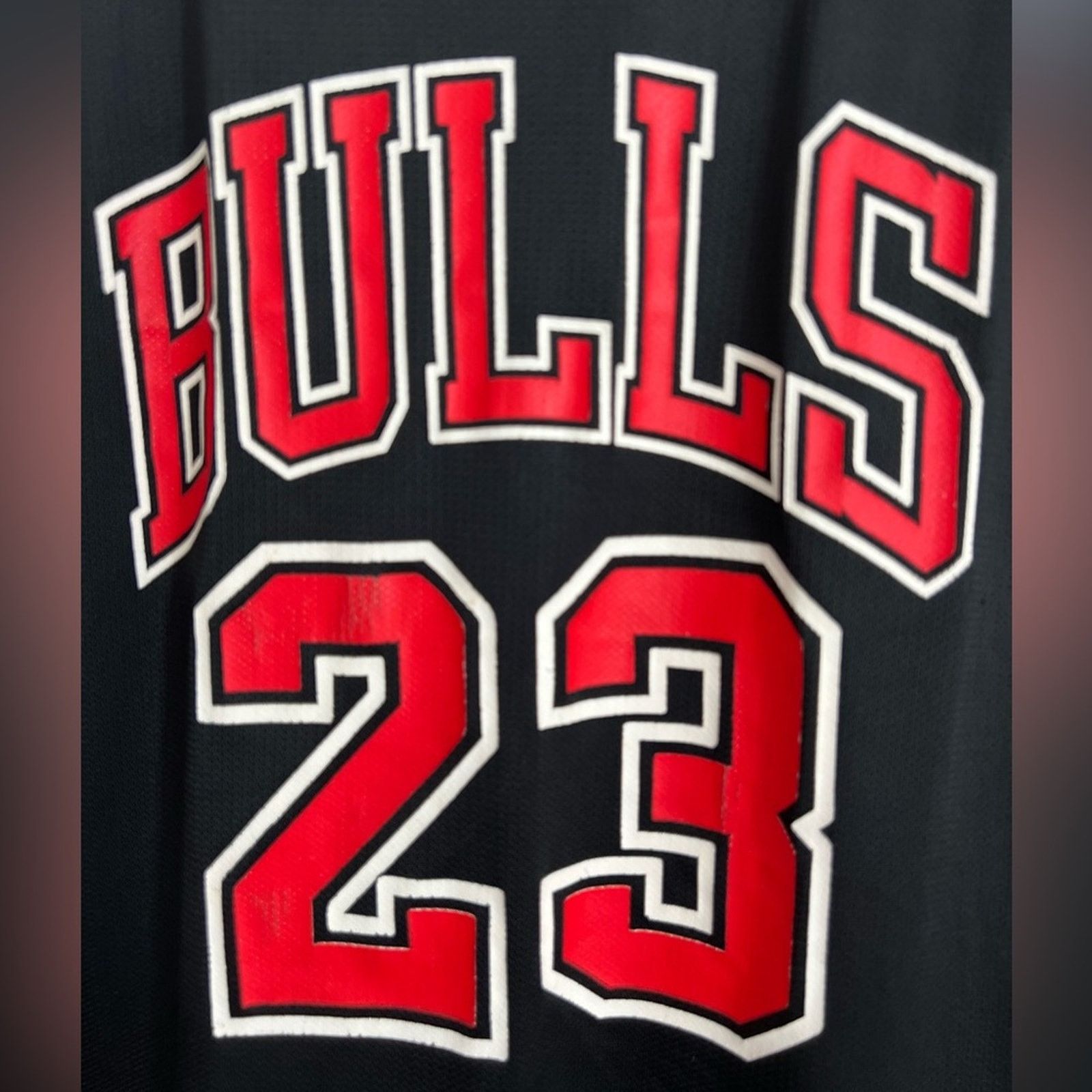 Champion Michael Jordan Chicago Bulls 1991 Champion Authentic Jersey Size US L / EU 52-54 / 3 - 3 Thumbnail